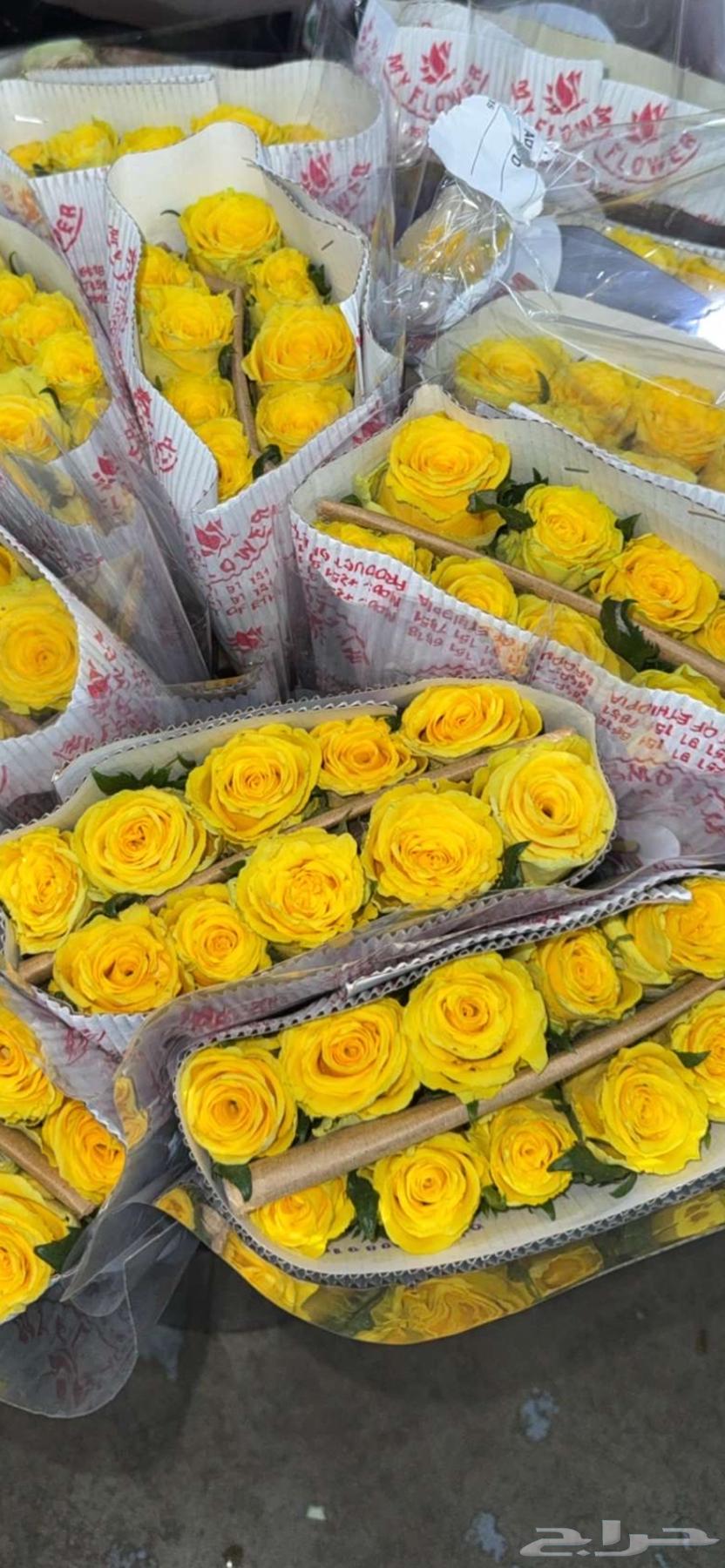 ورد طبيعي ب الجمله64452590401795111