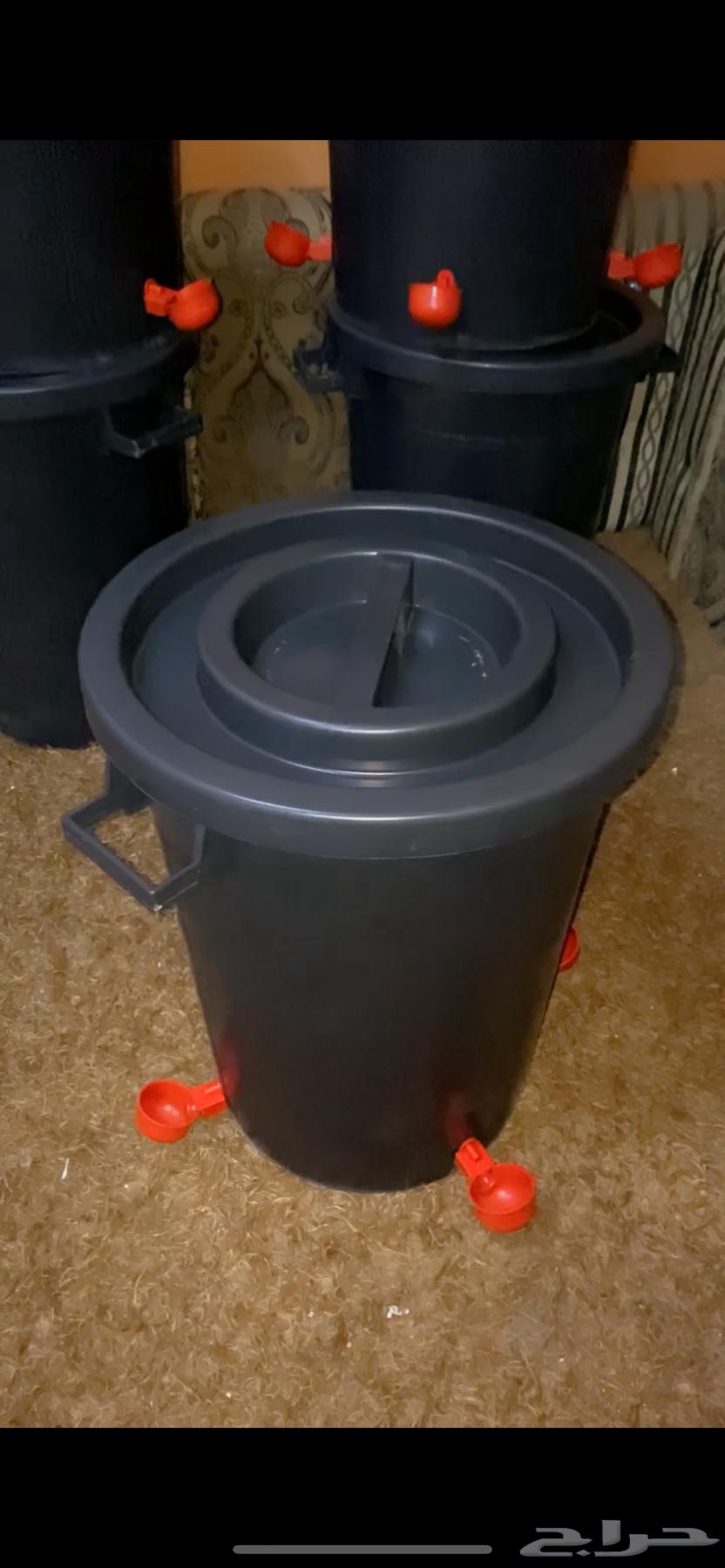 درام عوامه سقايات ماء طيور64612686355458110