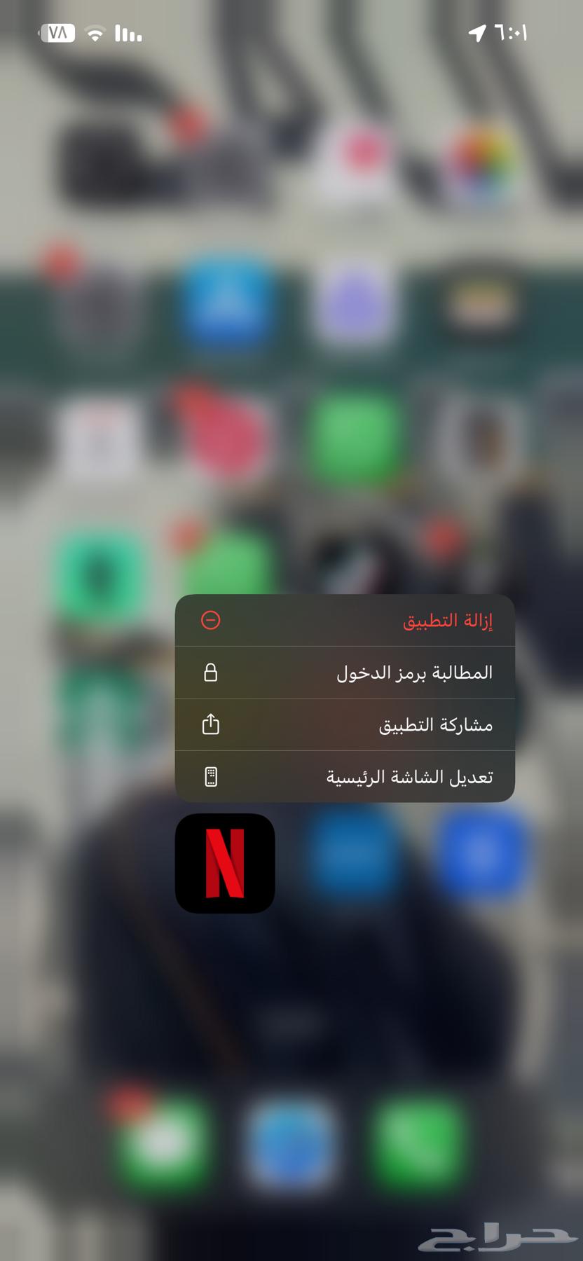 Netflix Subscription64454550592385110