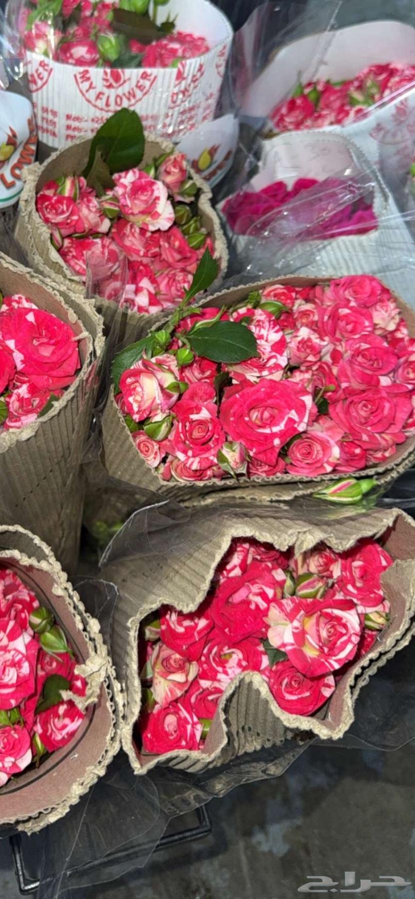 ورد طبيعي ب الجمله64452590401795112