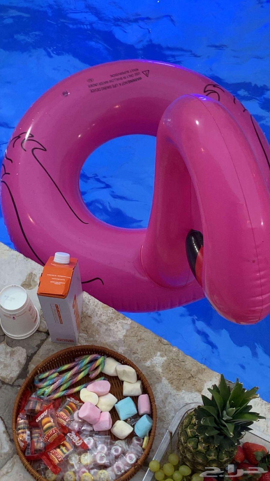 شاليهات جنوب الرياض تبدأ الاسعار من 250 ريال64455263738115112