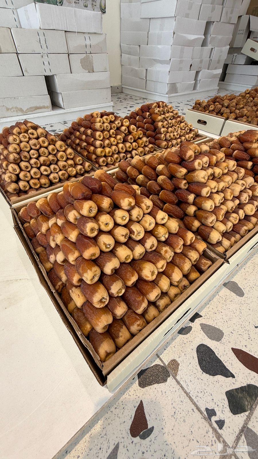 Rare Sukkari Dates64453999460353111