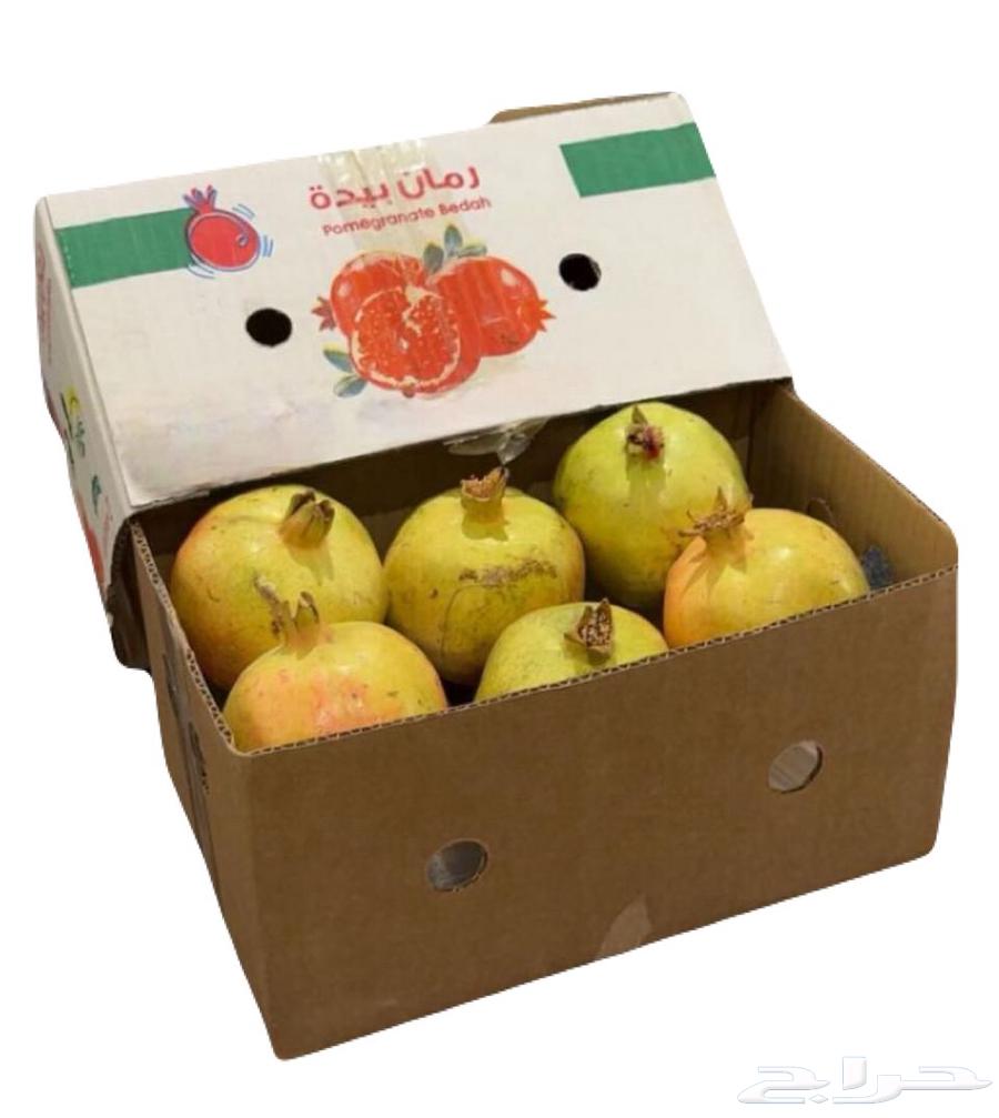 رمان بيده وصل الرياض64450421815939113