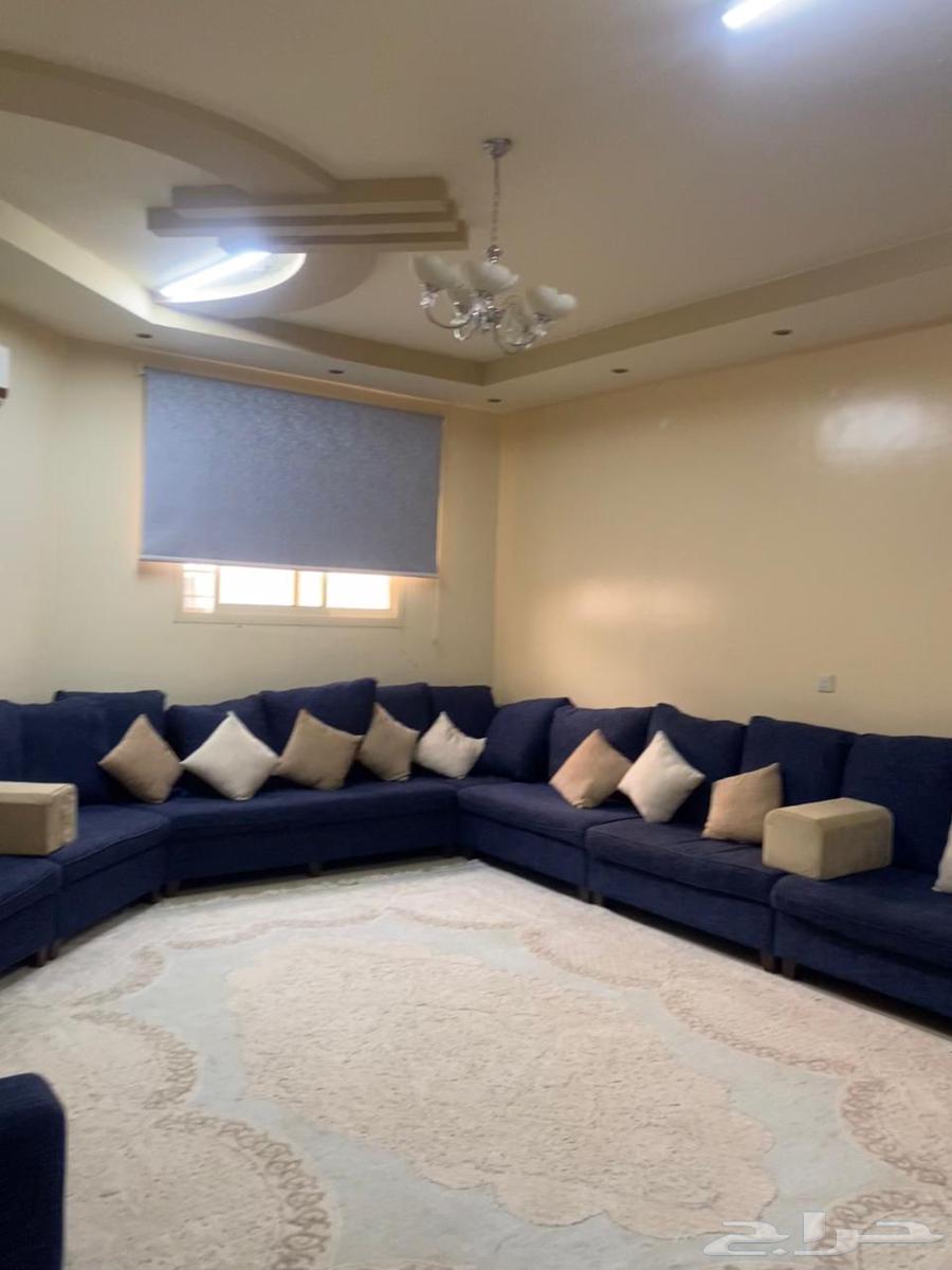 كنب خشب64452415302529111