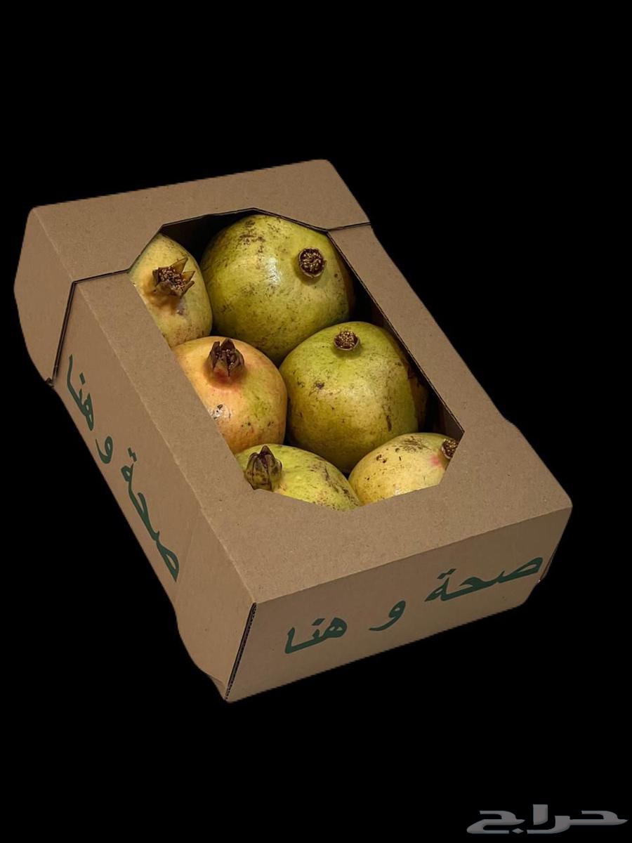 رمان بيده وصل الرياض64450421815939114