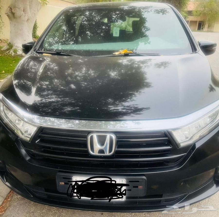 2022 Honda Odyssey – Full-Use Vehicle with All Seats Covered64619009345026113