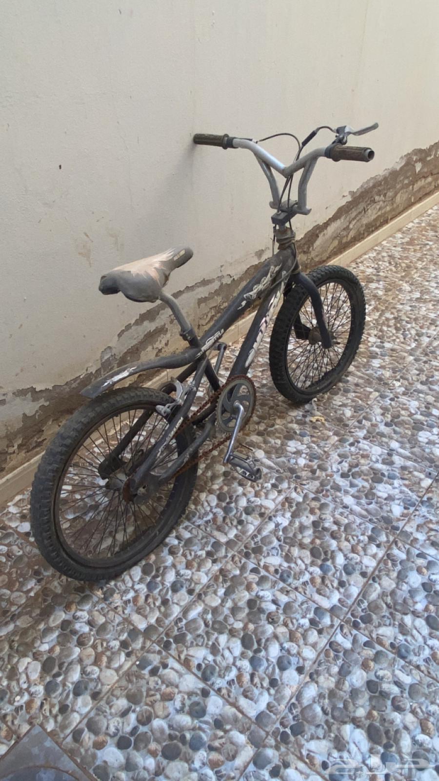 سيكل كوبرا مقاس 2064462569387138112