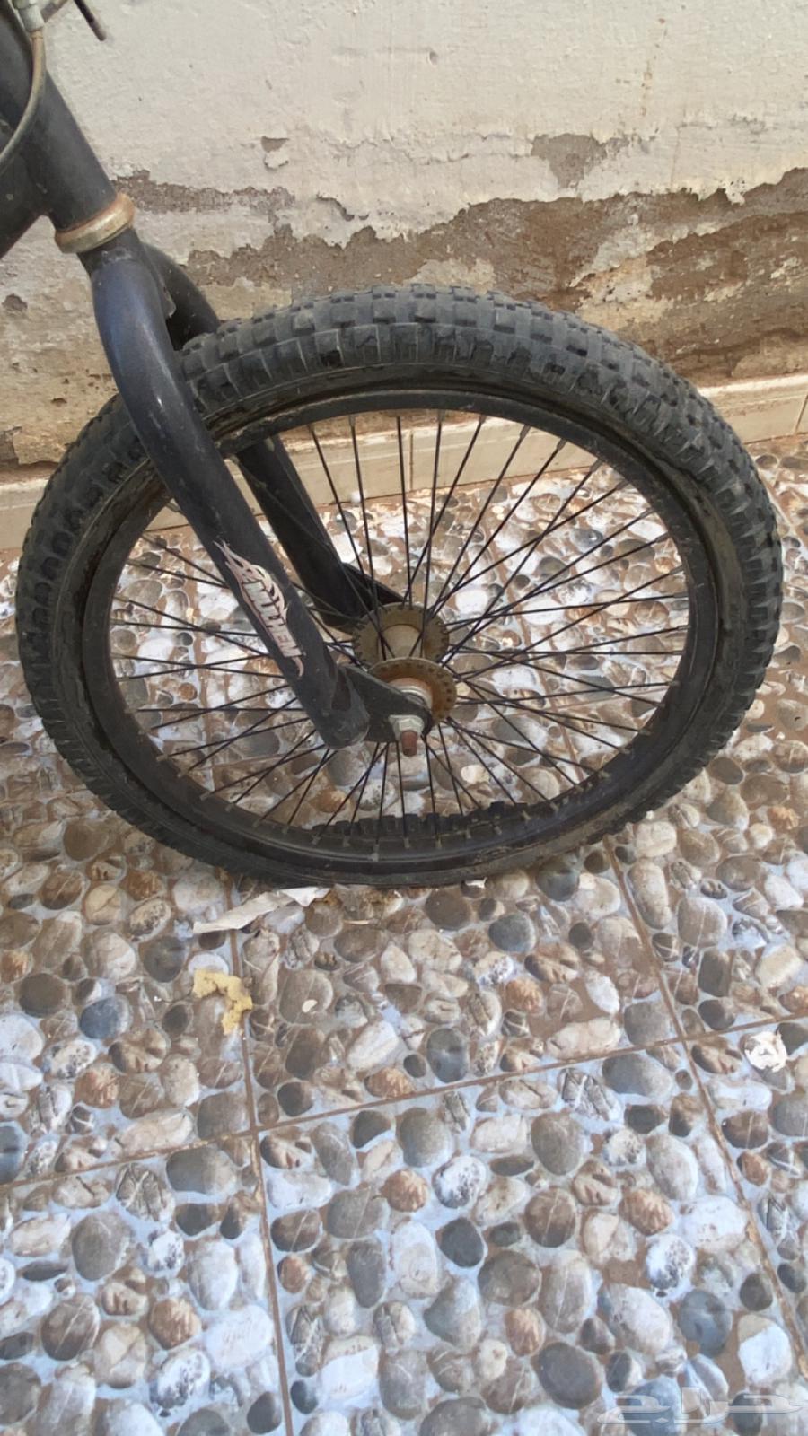 سيكل كوبرا مقاس 2064462569387138111