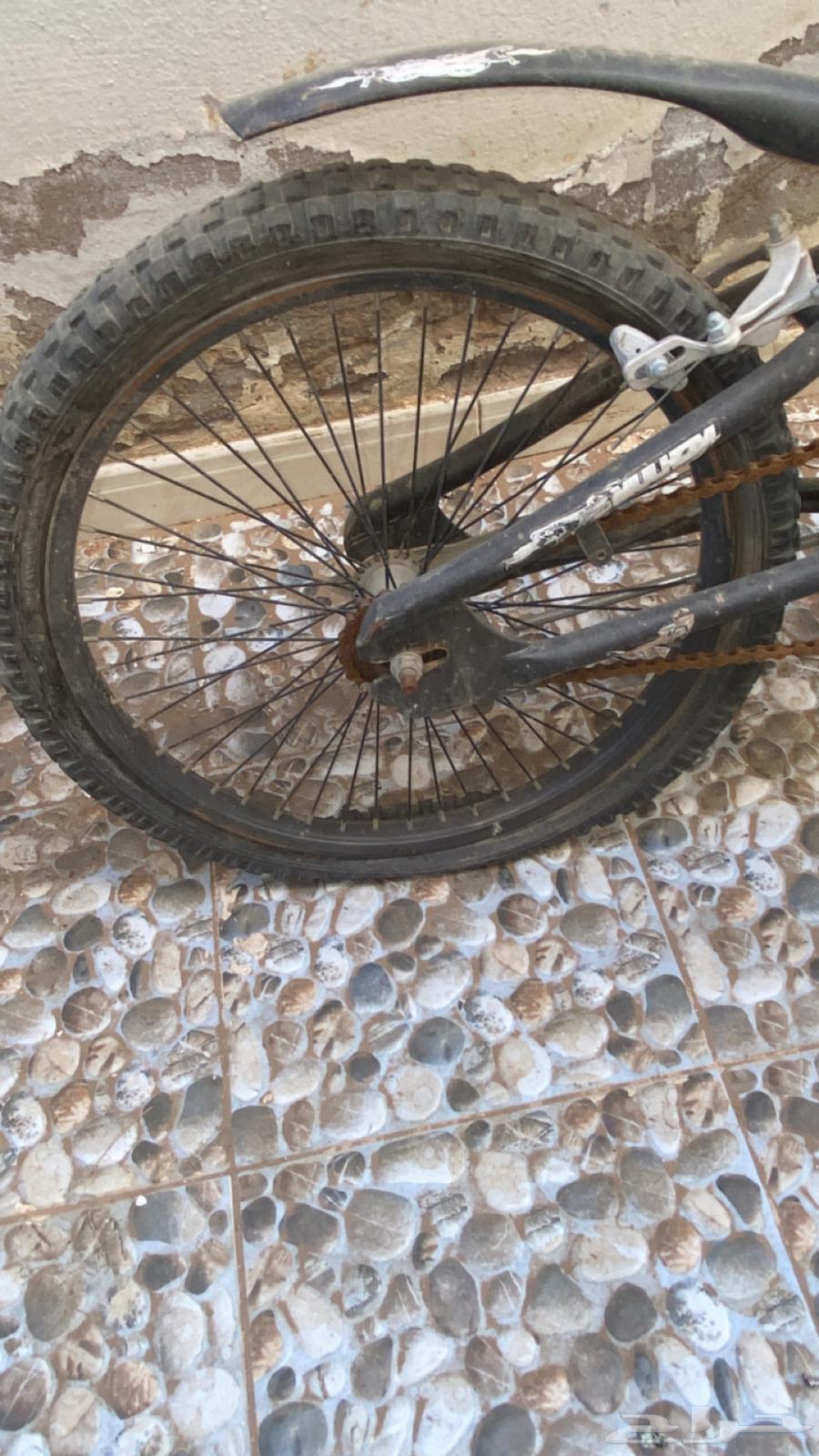 سيكل كوبرا مقاس 2064462569387138113