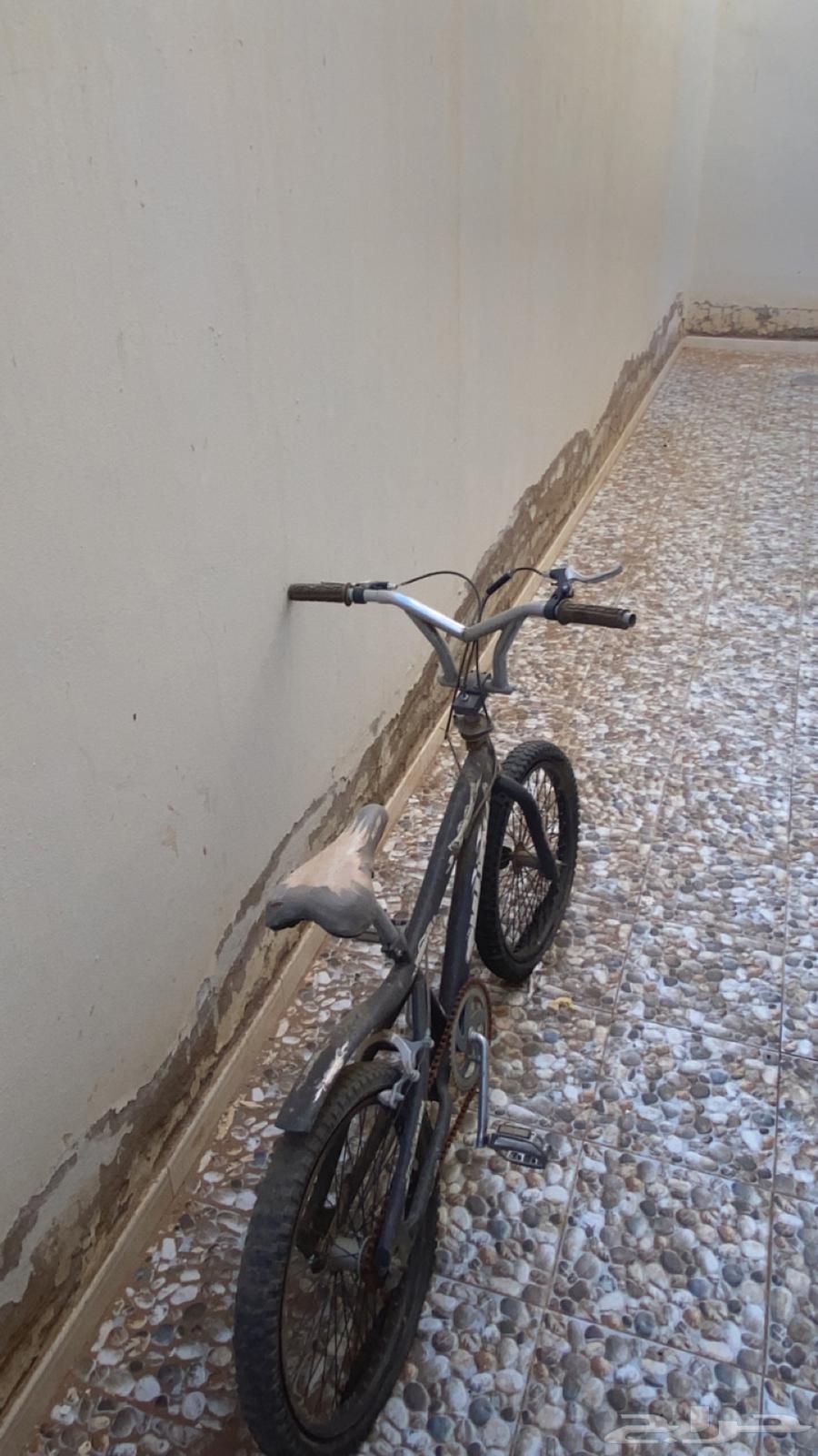 سيكل كوبرا مقاس 2064462569387138110