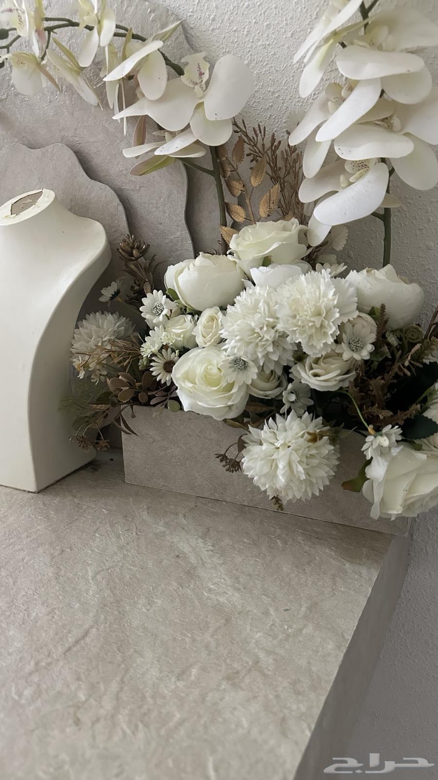 Queen's Network64464111320578113