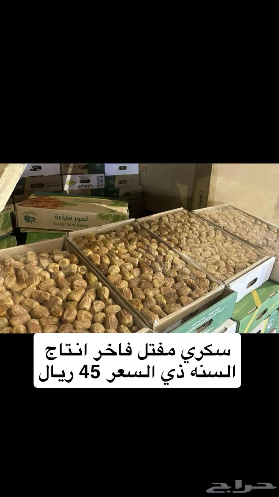 تمر سكري مفتل القصيم روثانه المدينه ورطب سكري64462117656962110