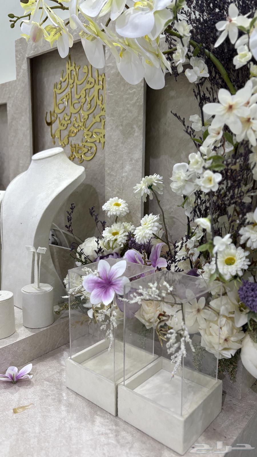 عربية شبكه او خطوبه64493573022081111