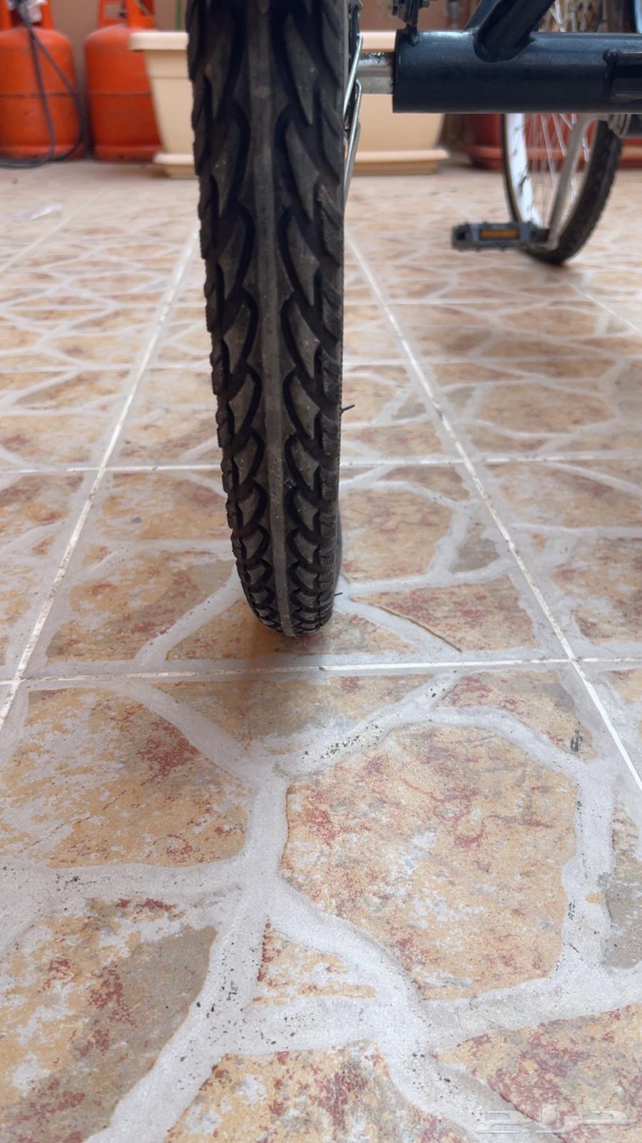 Three-wheeled bike from the well-known Rally company, large size64460448384898114