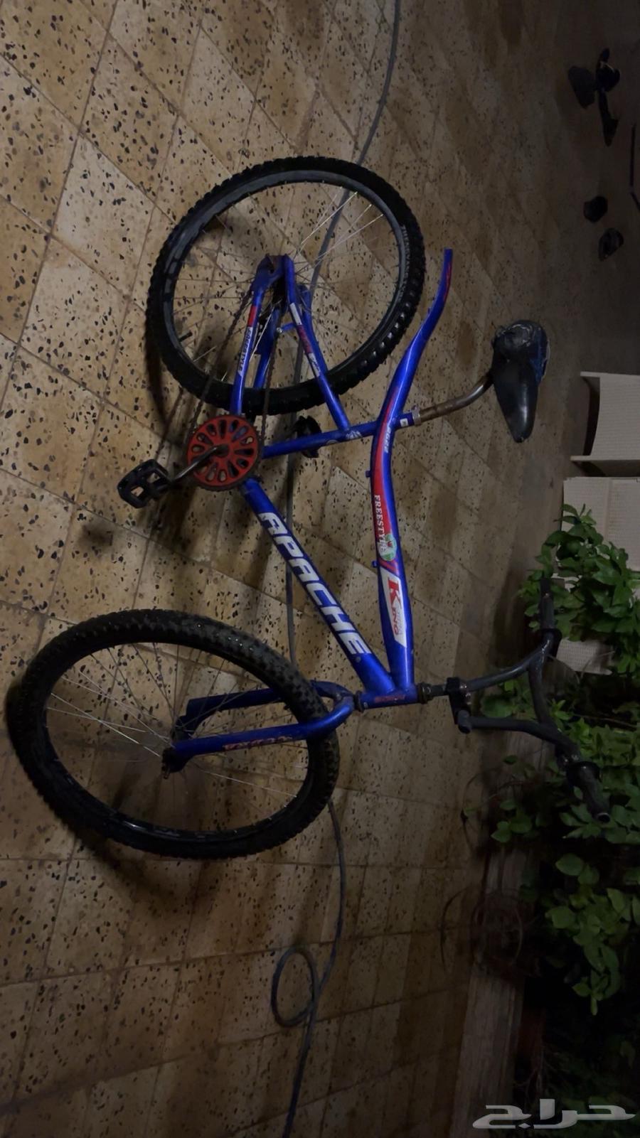 Cobra bicycle, blue color, size 28, in good condition with a crack for sale64463348320898112