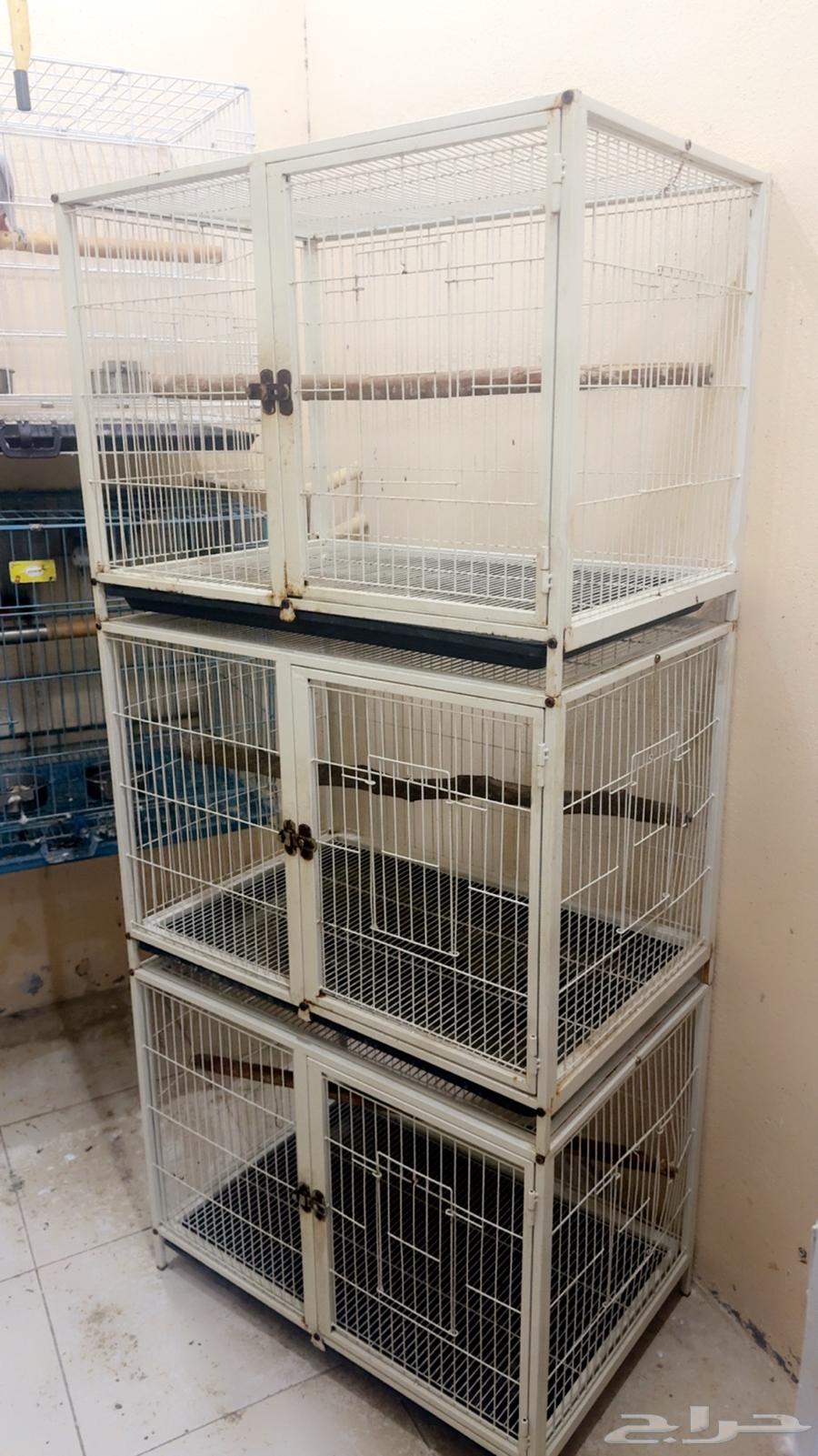 Cages64461911632385110