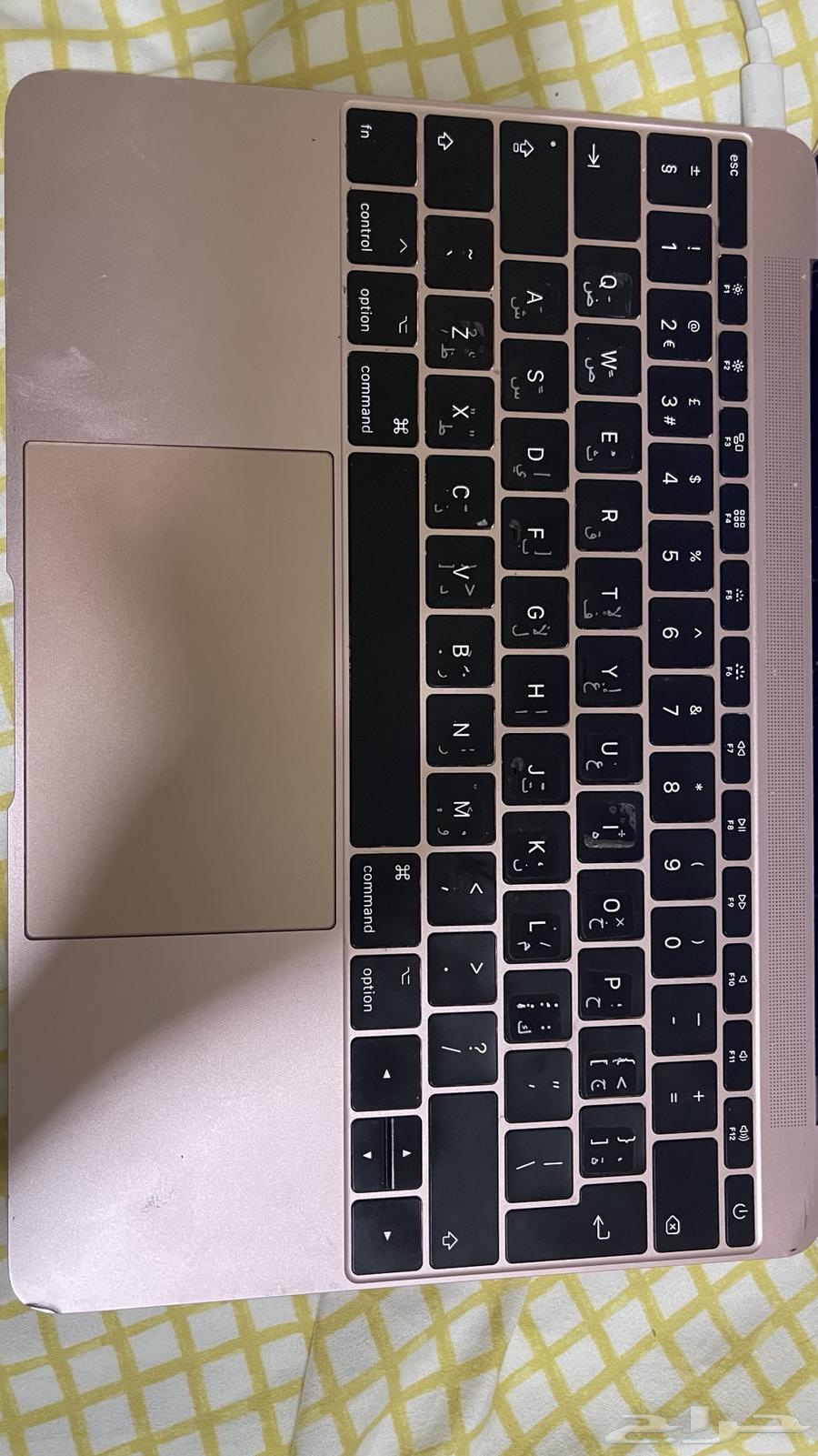 MacBook 12-inch 2017 needs only screen replacement64457473581699110