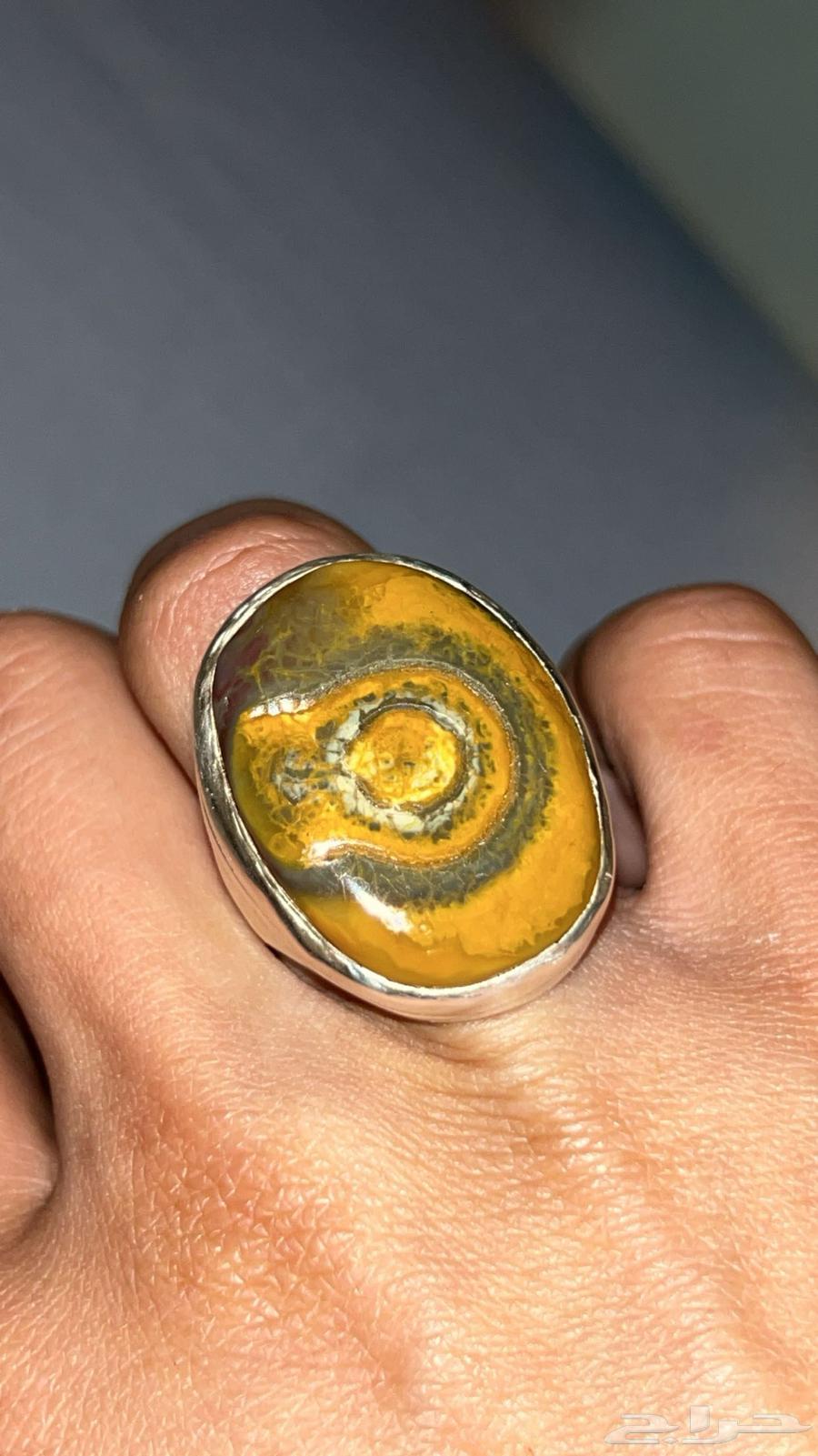 سليماني هندي64461925420802111