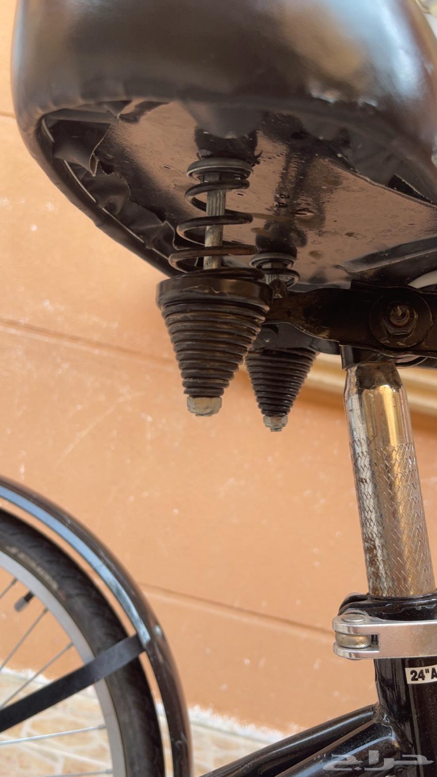 Three-wheeled bike from the well-known Rally company, large size64460448384898112