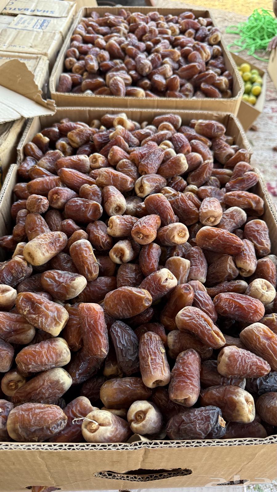 تمر برني العيص فاخر64457377992833110