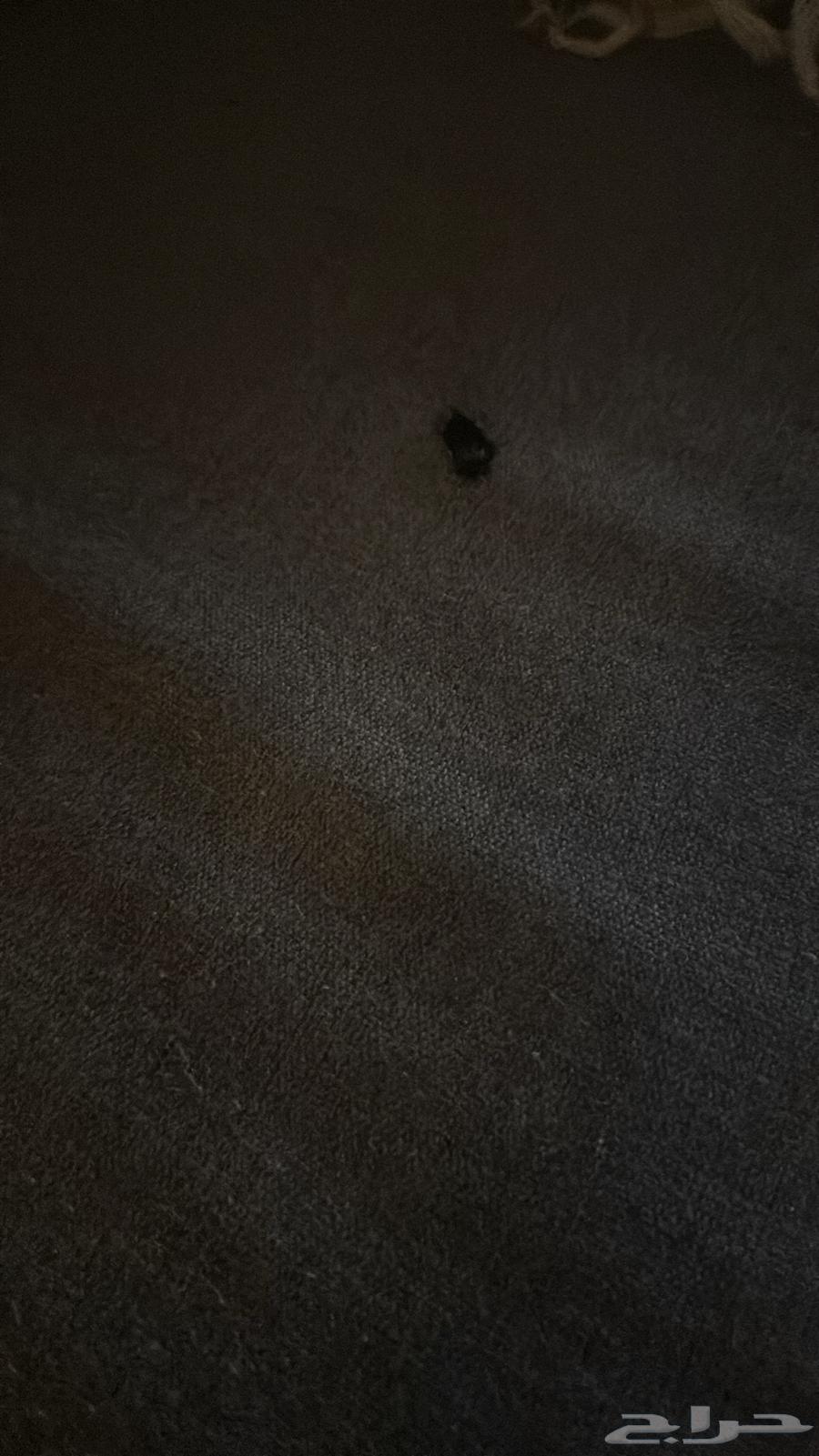 كنب للبيع سعر البيع 100064459928688898110