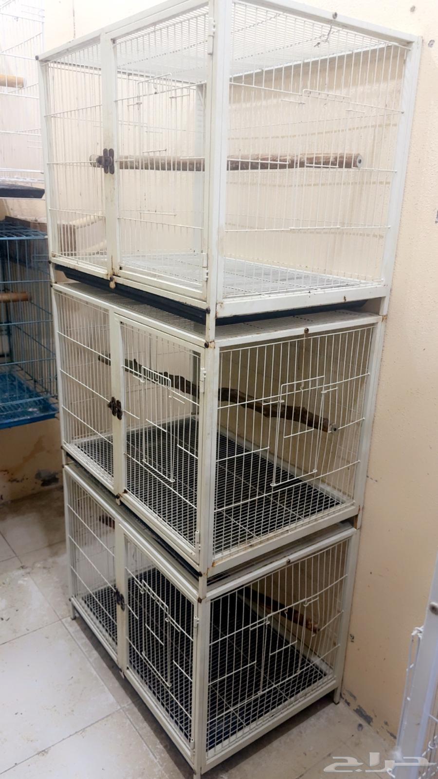 Cages64461911632385112