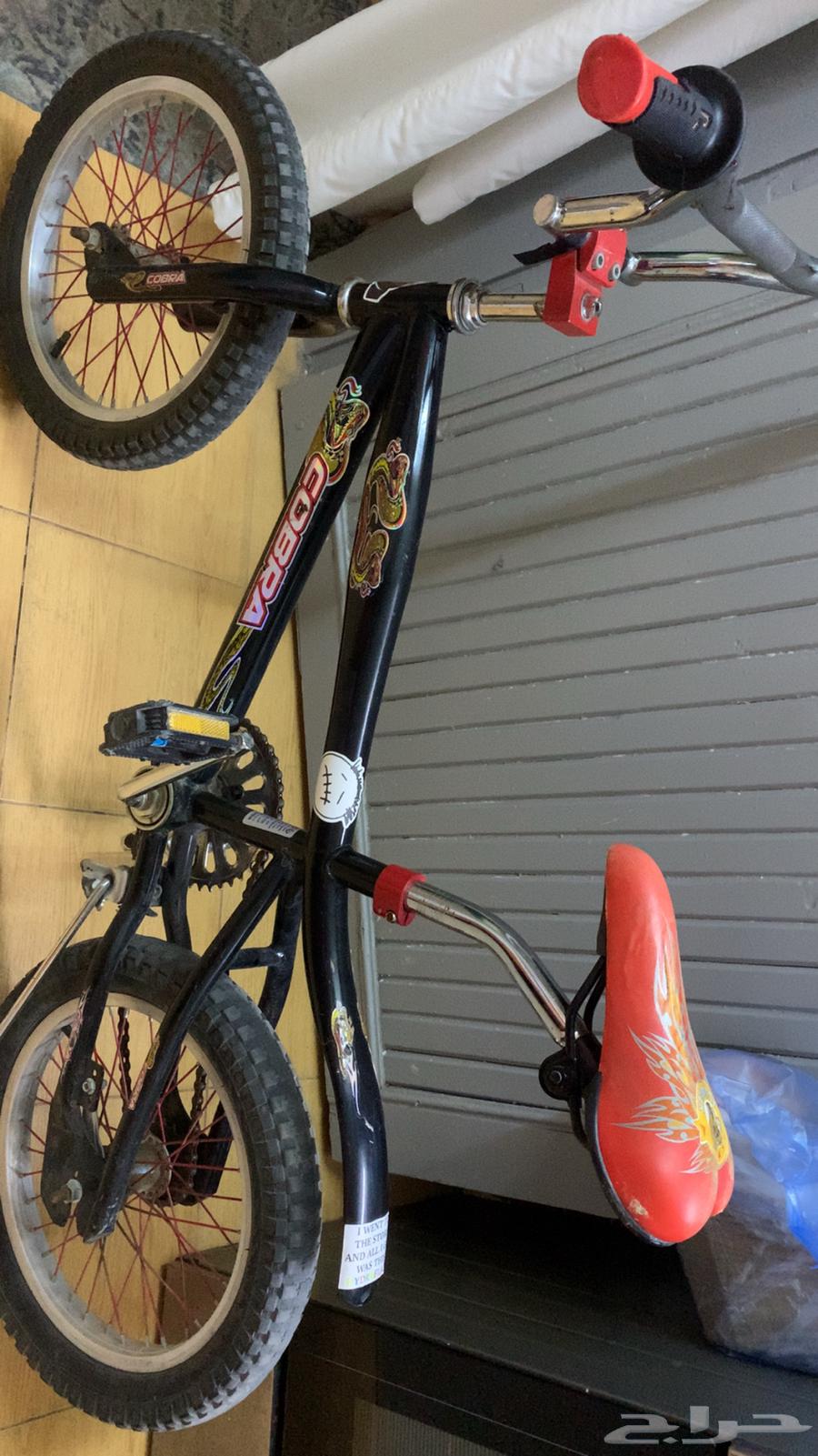 سيكل كوبرا للبيع السوم من ميه و فوق مانختلف على السعر64459651779970112