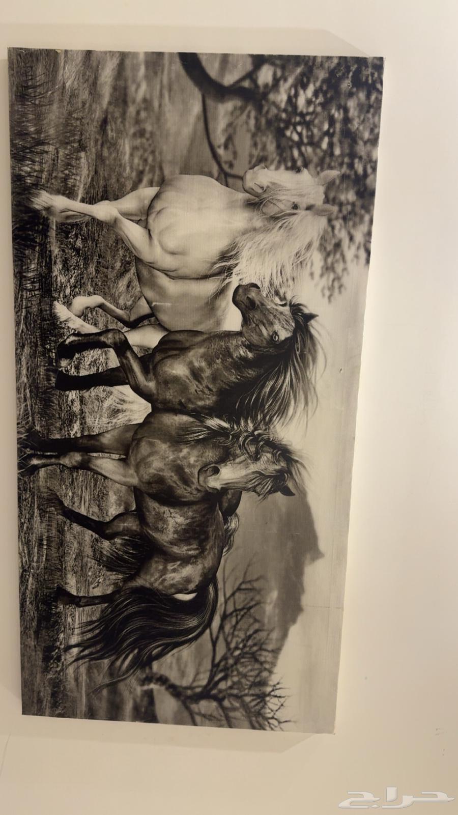 كنب وطاوله ولوحة64462294570627112