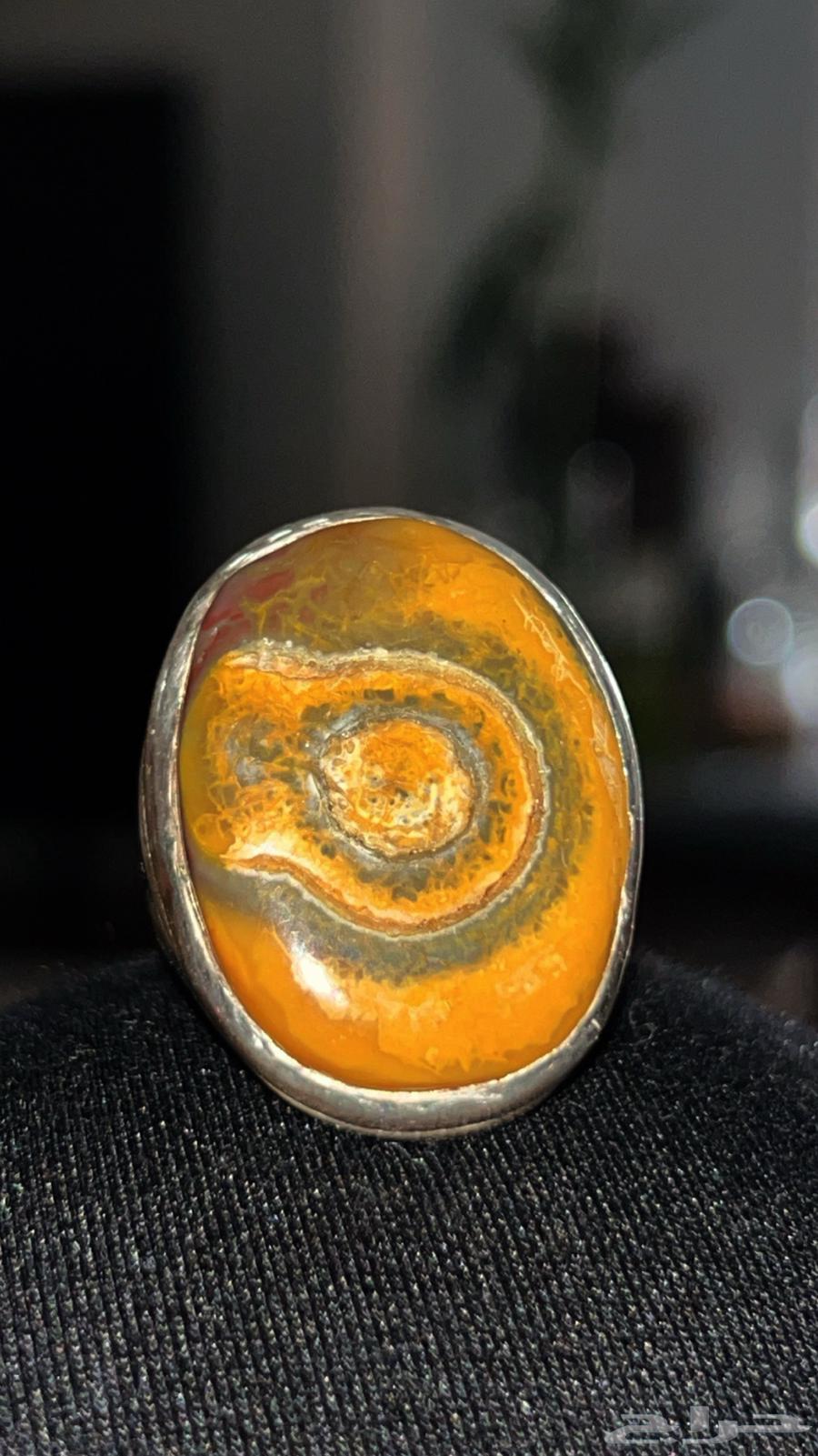 سليماني هندي64461925420802110