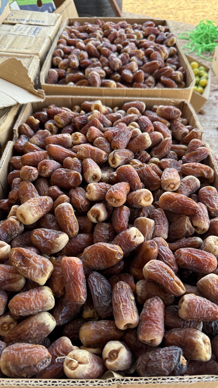 تمر برني العيص فاخر64457377992833111