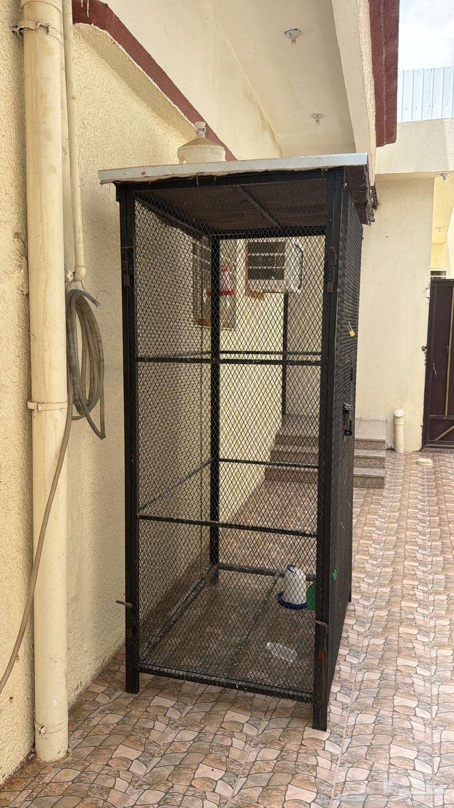 Bird net64459468798210111