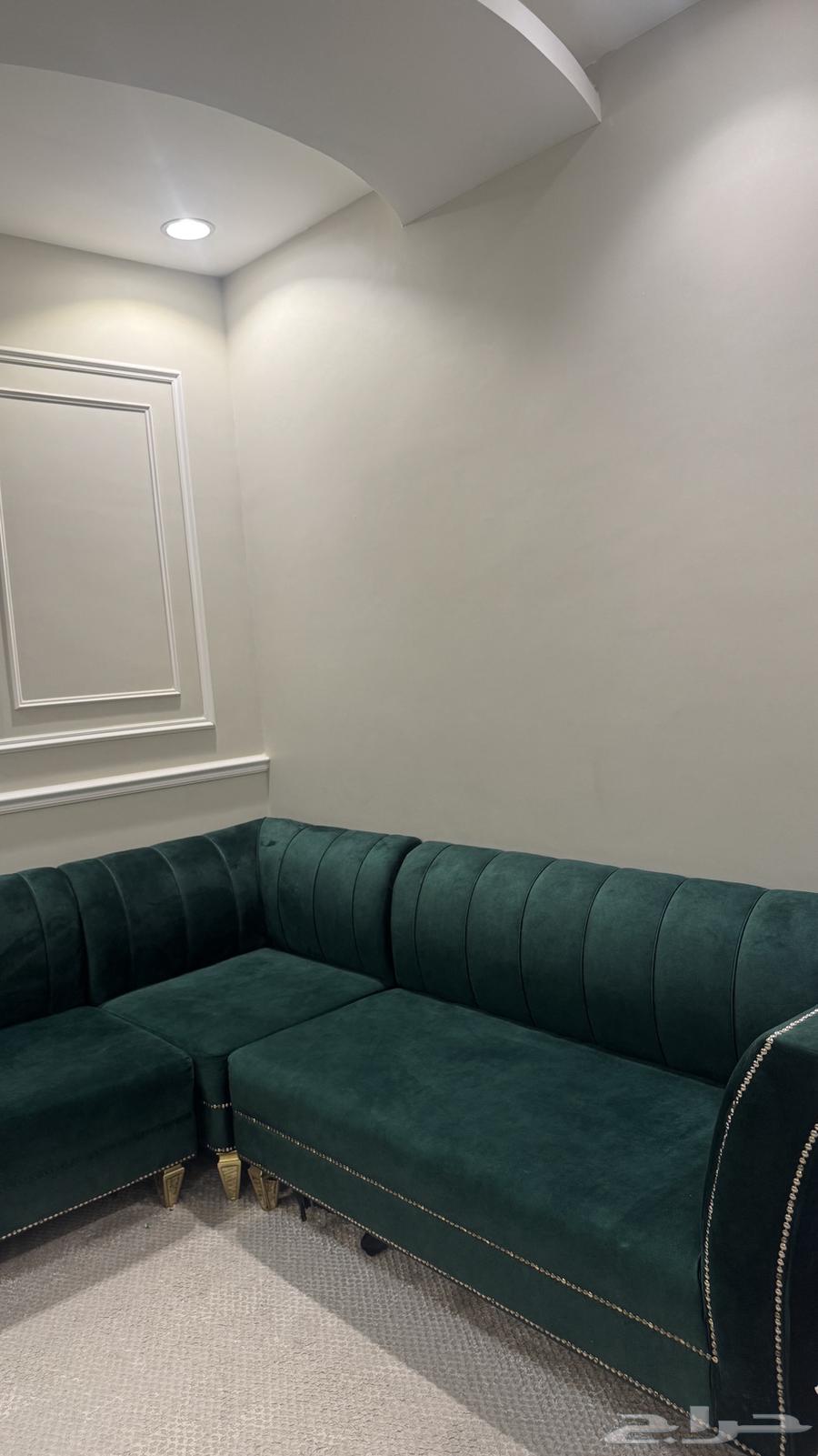 Green sofa, almost new64463432821761111