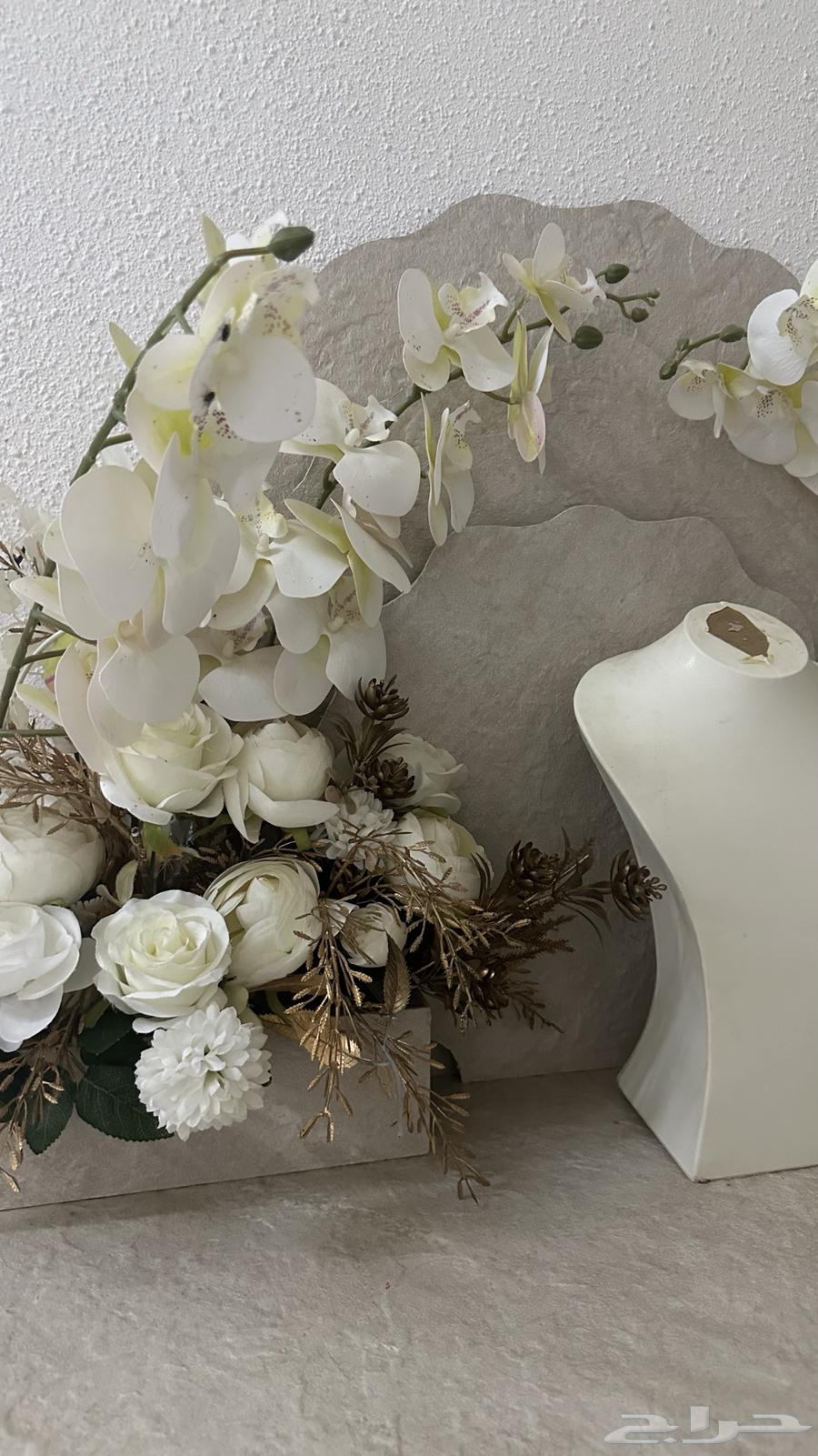 Queen's Network64464111320578112