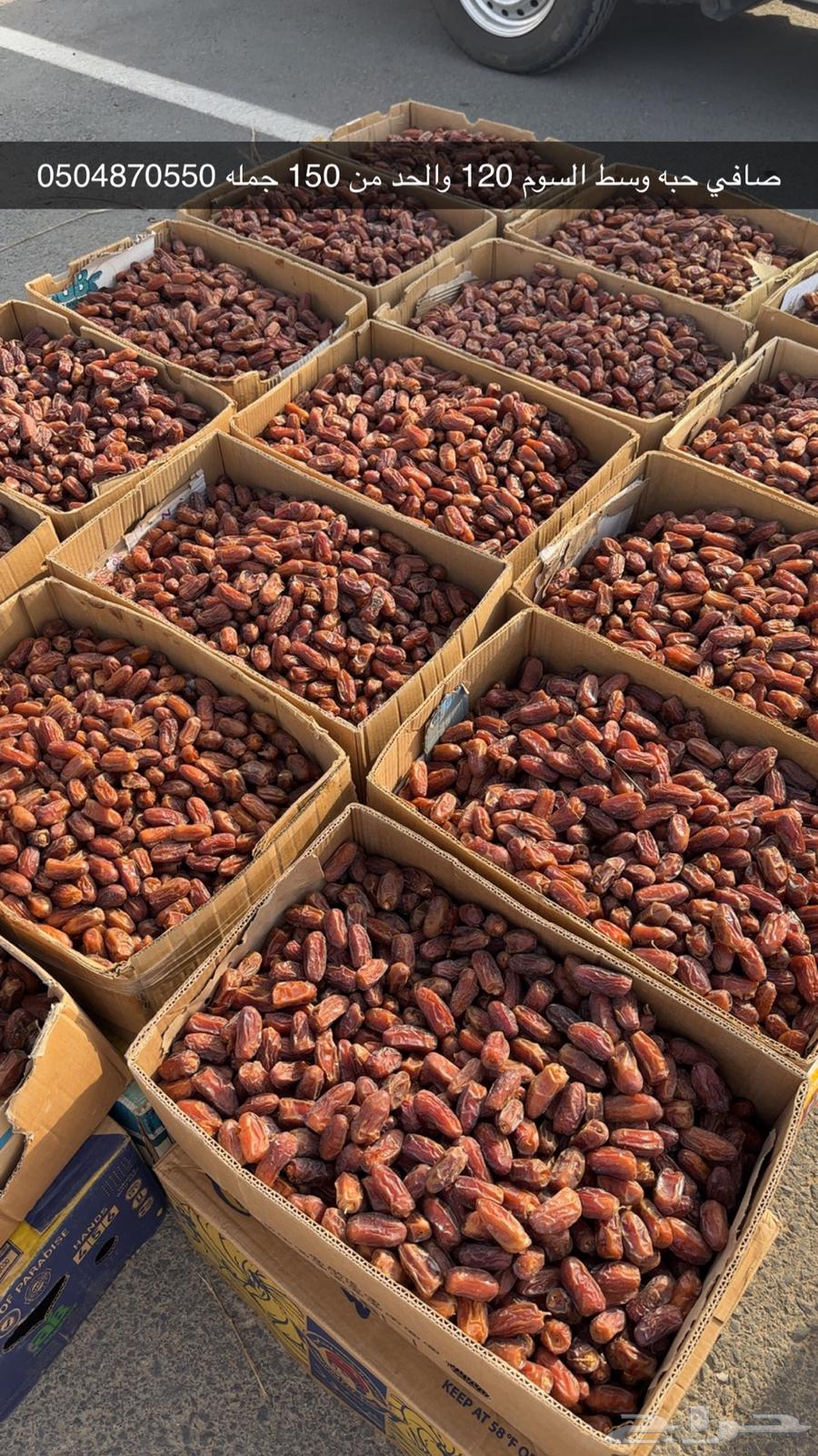 صفري بيشه صافي64464153641985110