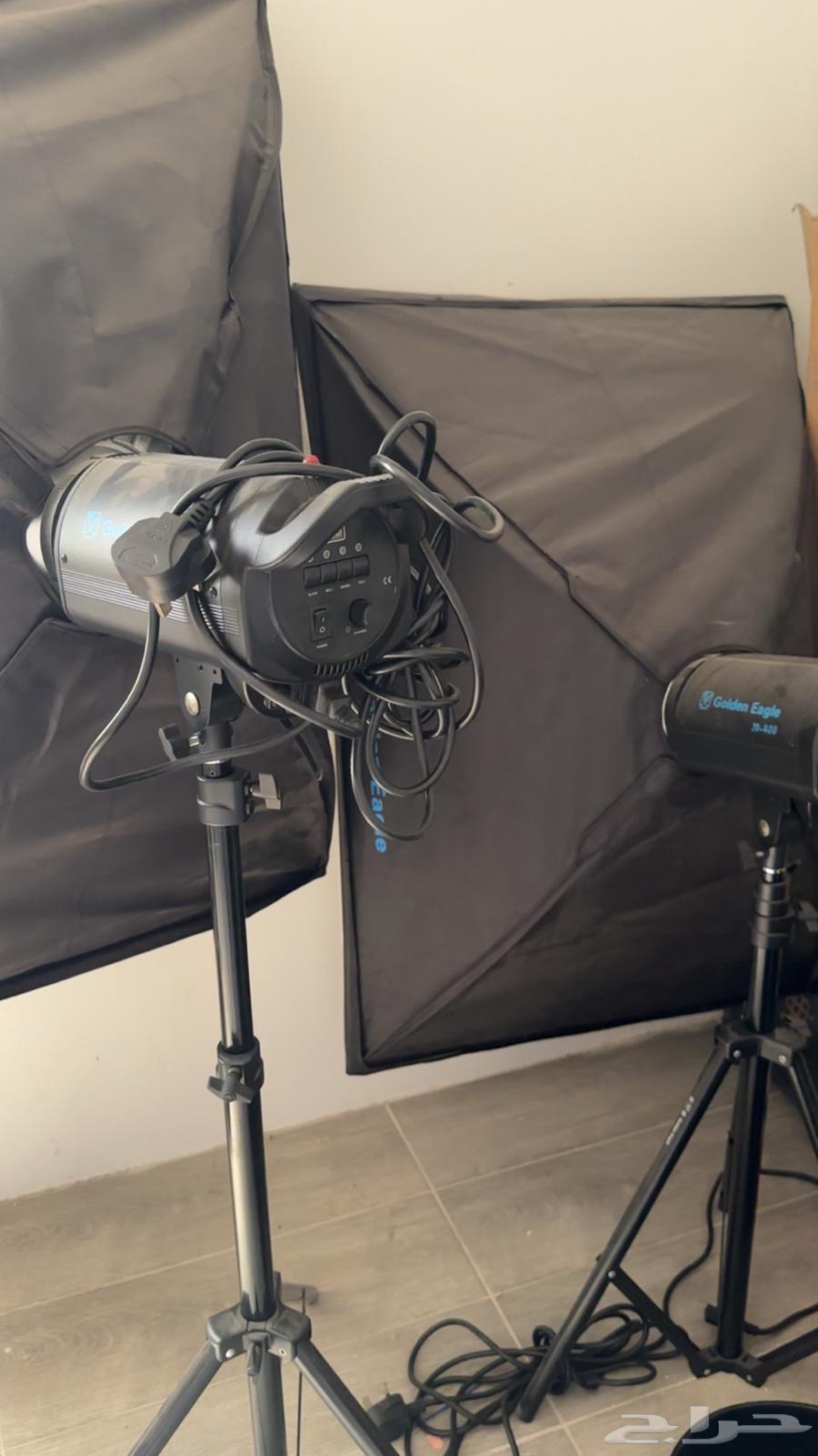 فلاش تصوير قولدن ايجل golden eagle - 40064459970241154110