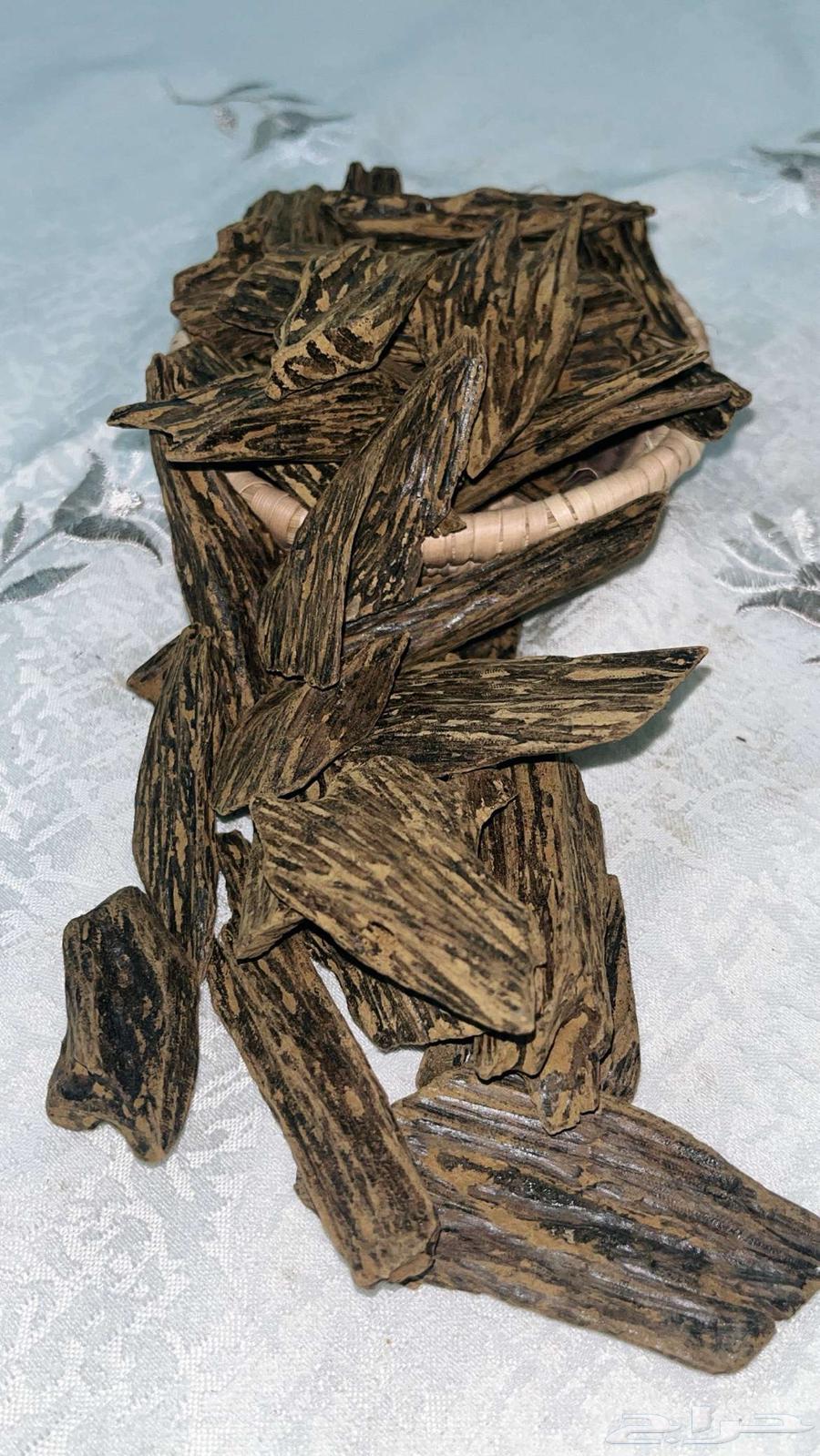 عود فاخر درجة أولى64458023638146111