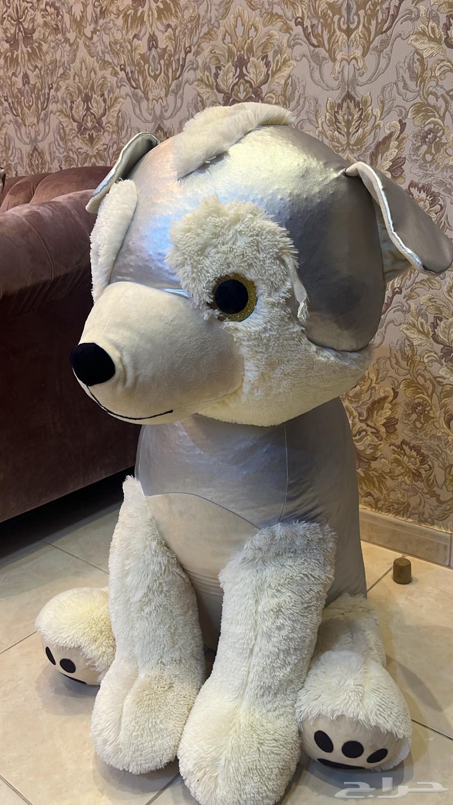 Dabdob64461310031619112