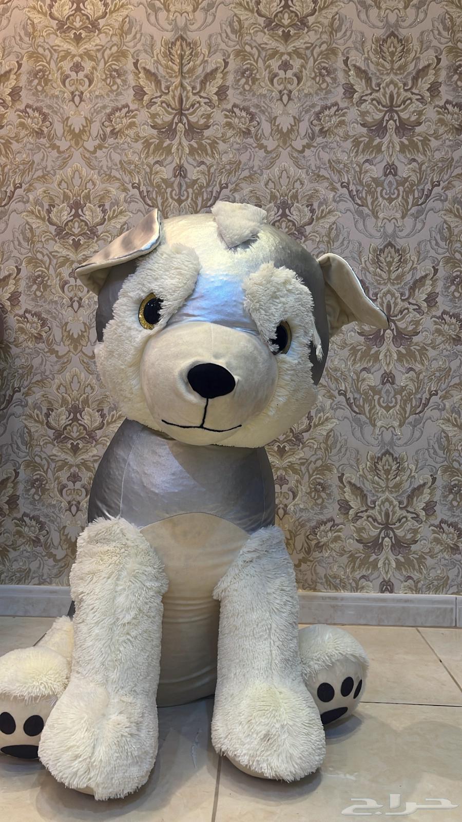 Dabdob64461310031619111