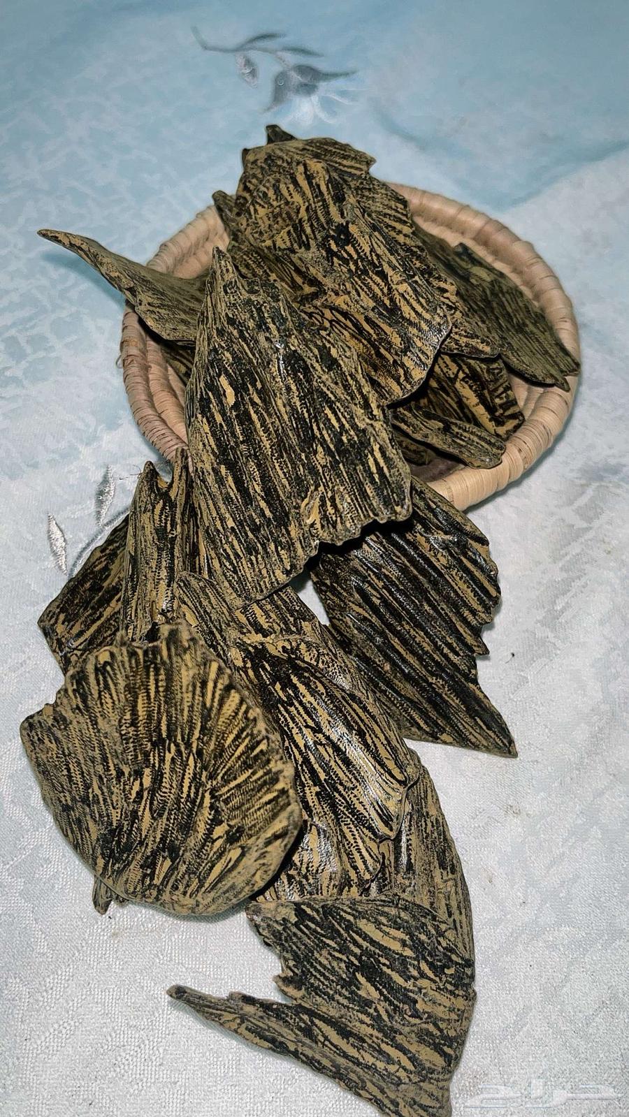 عود فاخر درجة أولى64458023638146110