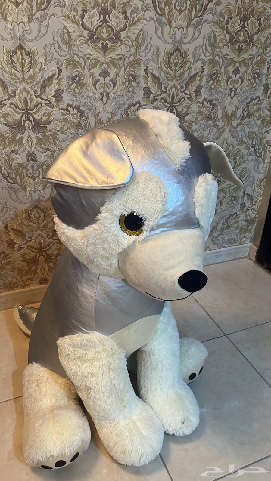 Dabdob64461310031619113