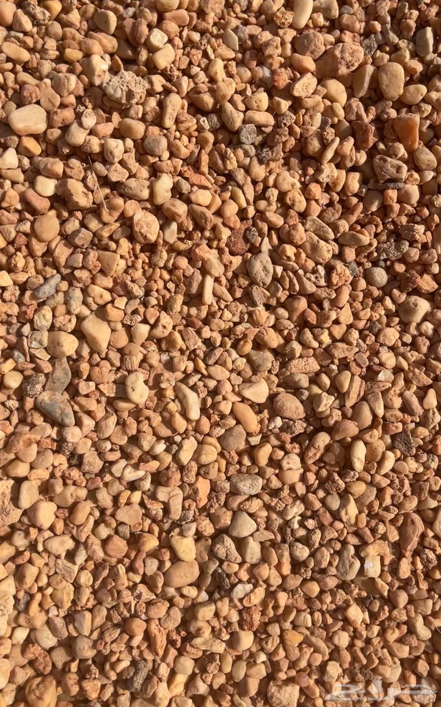 خرصان مرو حصم جميع الأنواع64460967518338113