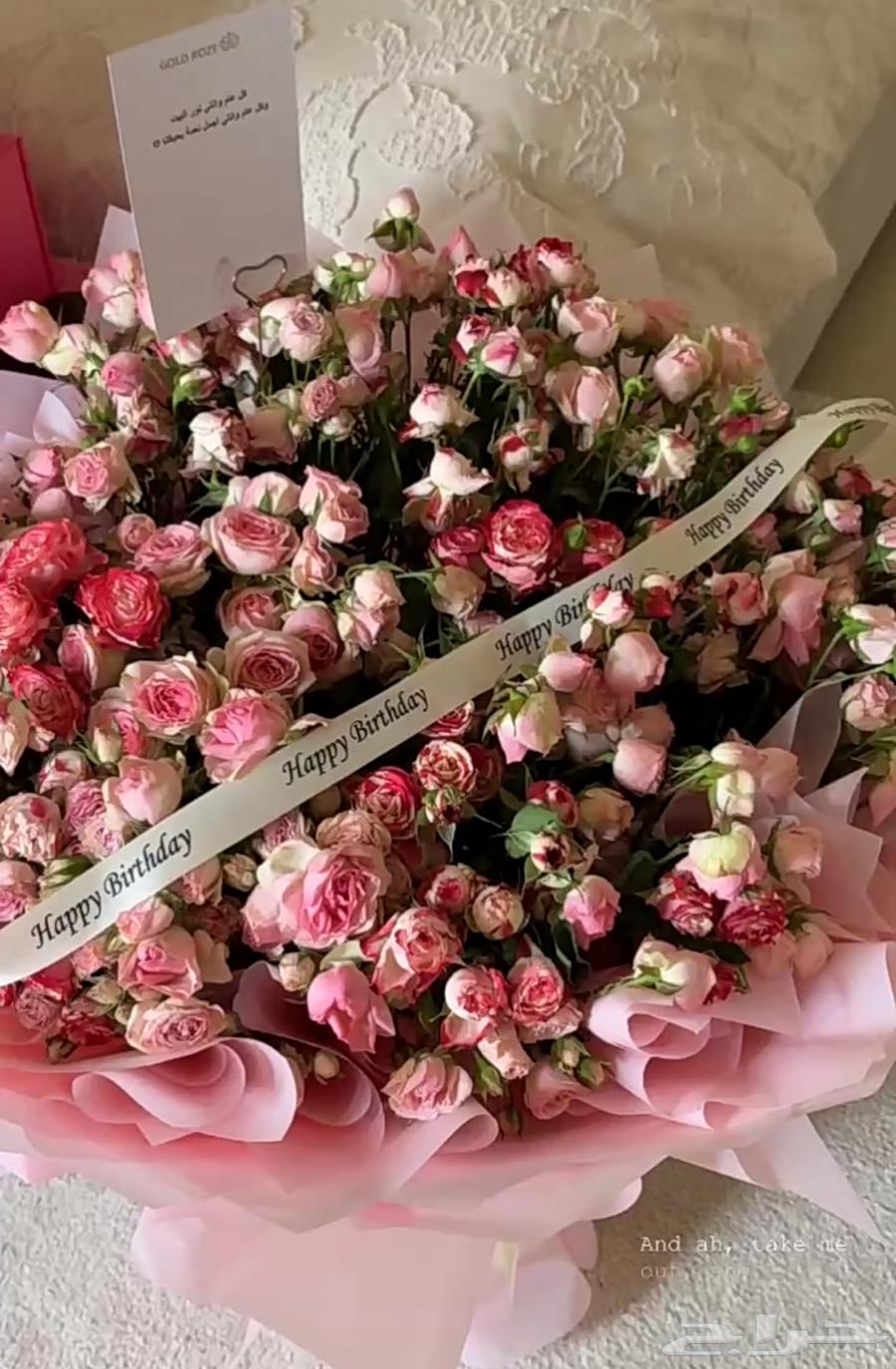 Abha and Khamis Mushait and villages representative64145332848769110