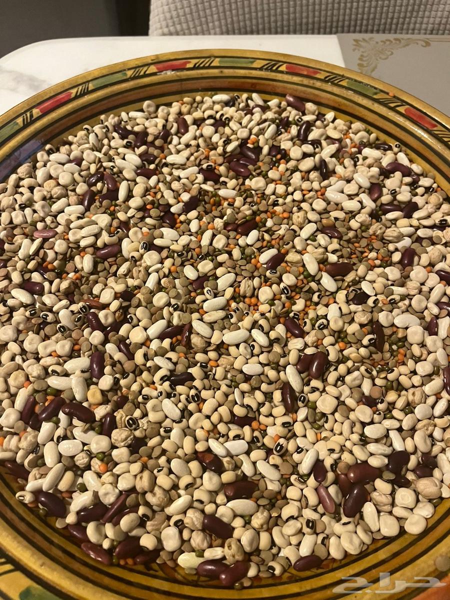 Bird Soak64459005709058110