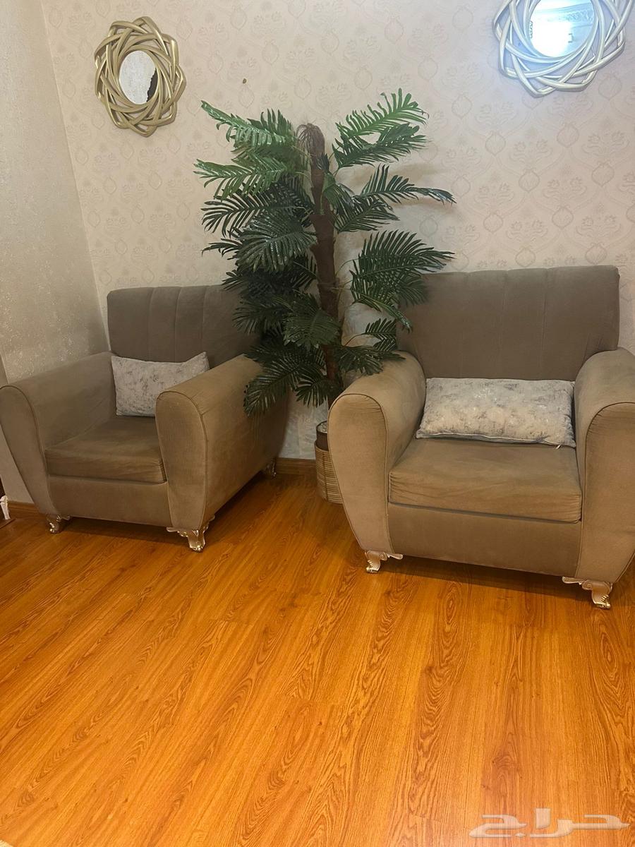 كنب عشرة اشخاص للبيع ب37064461035652353111