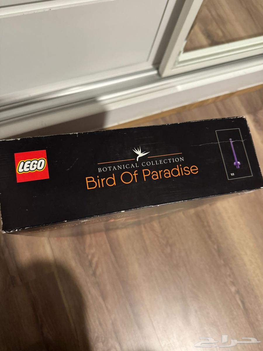 ليقو جدييد 400 ريال للتواصل 054 582 055664460761974017111