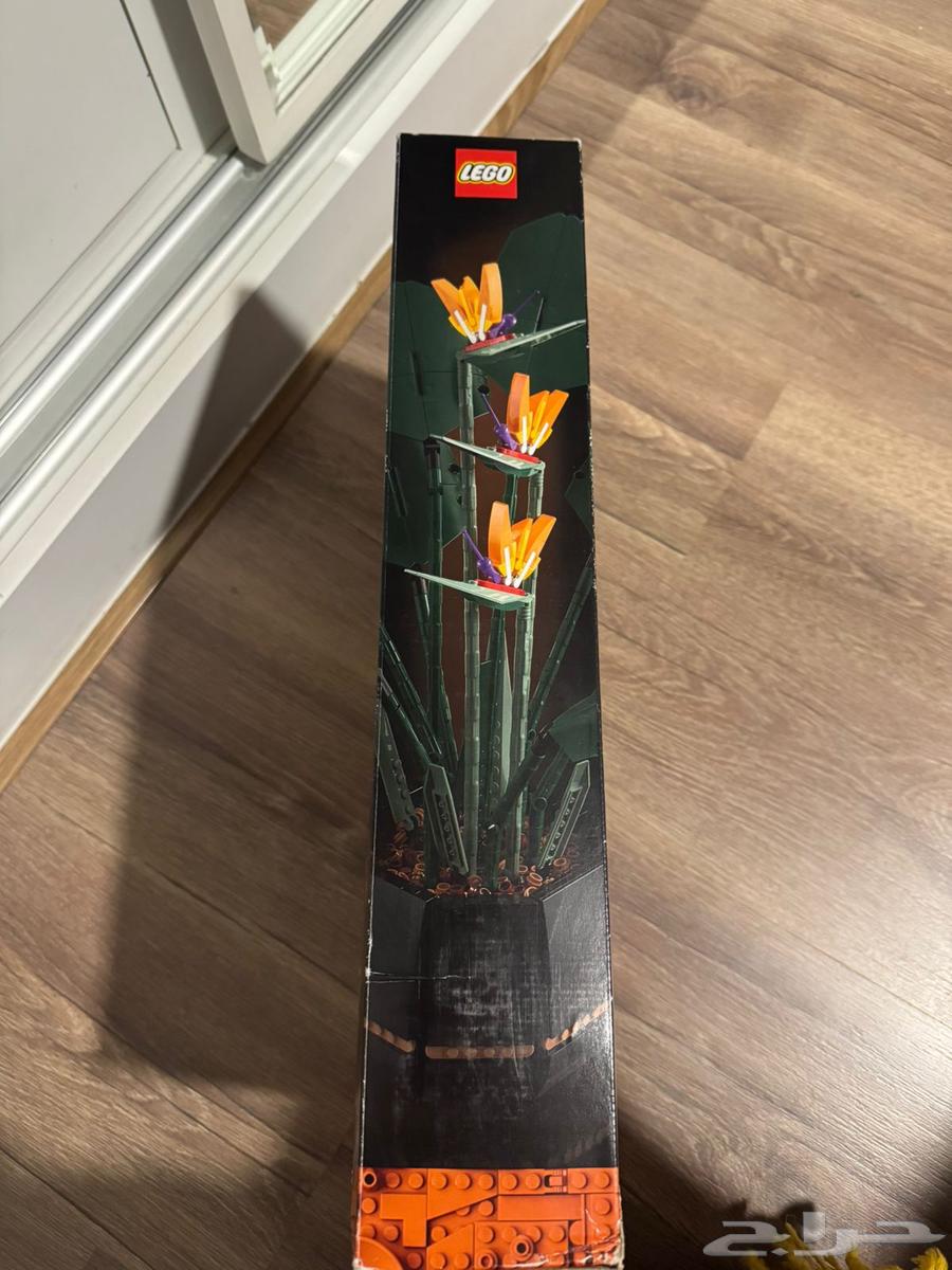 ليقو جدييد 400 ريال للتواصل 054 582 055664460761974017112