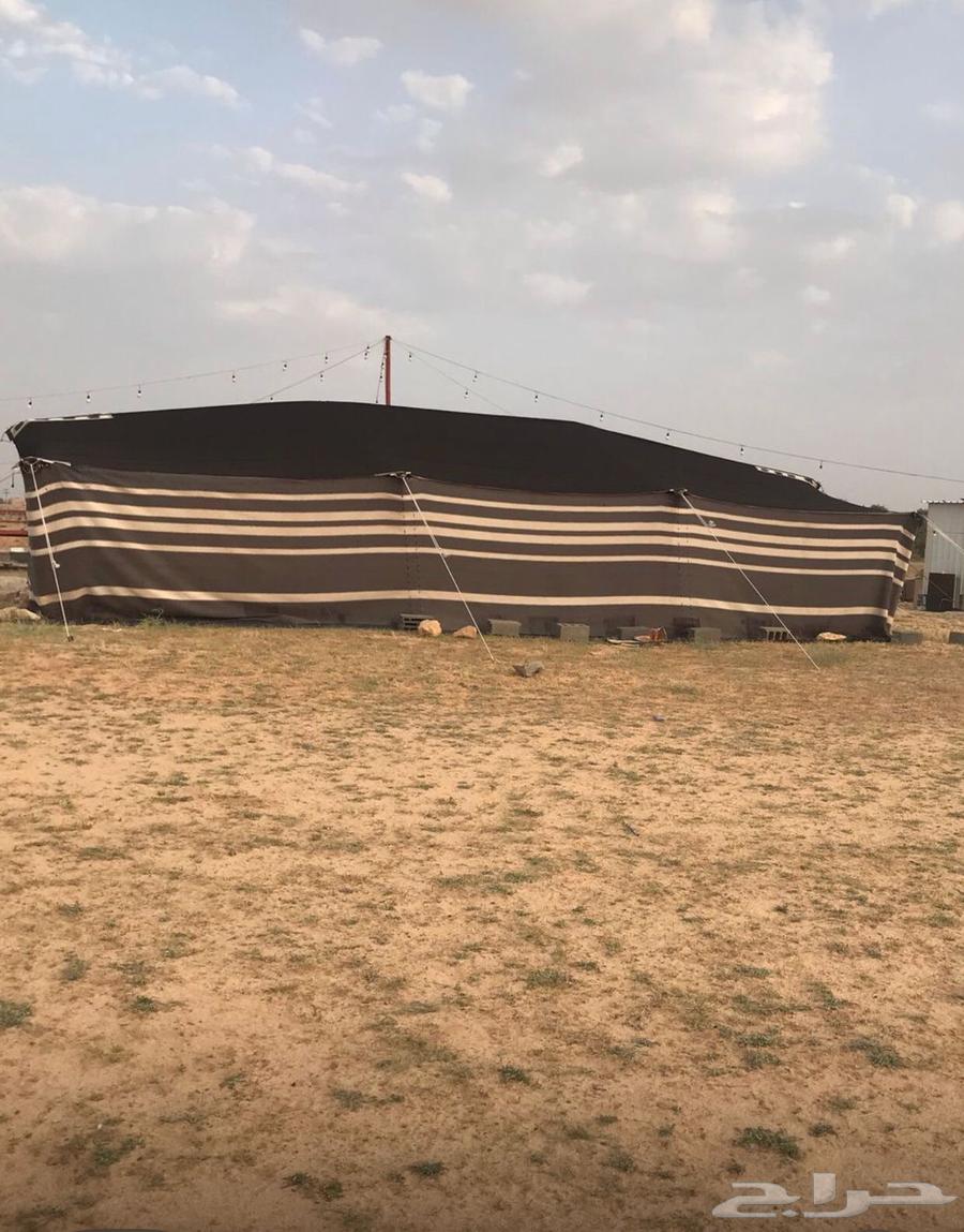 بيت شعر اسود مقورن شغل الحريم القديم64462430557699111