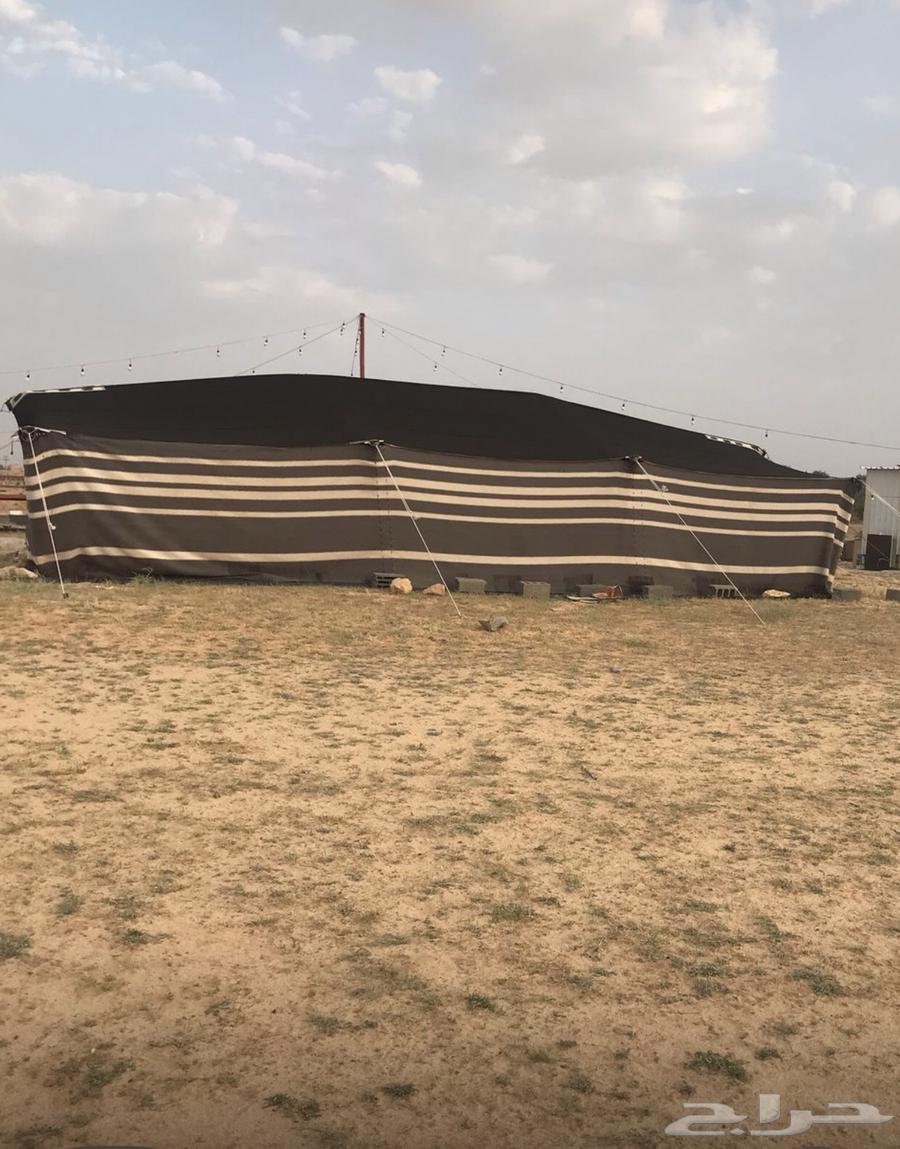 بيت شعر مقورن اسود64461416860163110