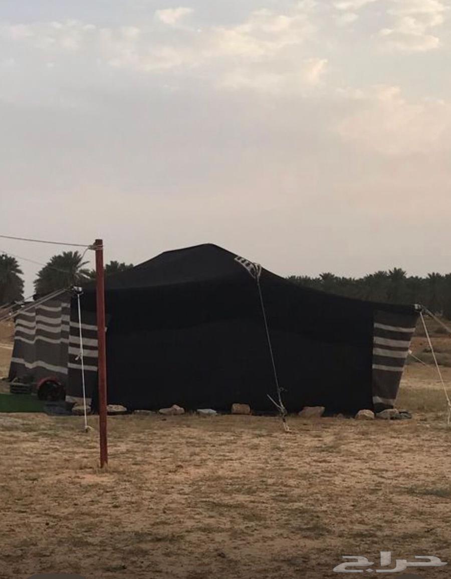 بيت شعر اسود مقورن شغل الحريم القديم64462430557699110