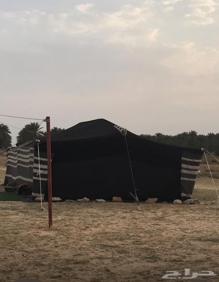 بيت شعر مقورن اسود64461416860163111